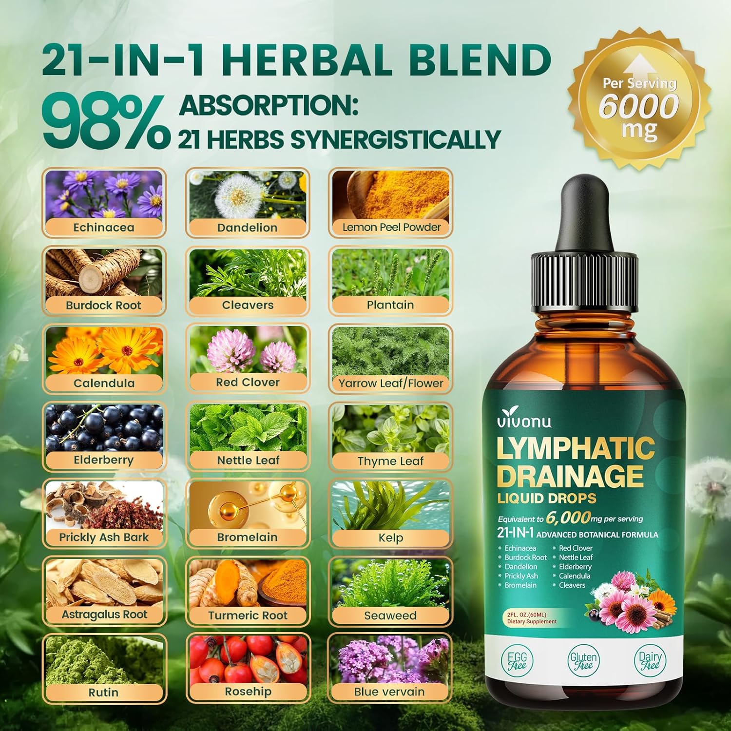 21-in-1 Lymphatic Drainage Drops for Liposomal, Immune & Lymph System Support Supplement for Women & Men with Echinacea, Dandelion, Burdock, Bromelain, Calendula, Turmeric & More, 2 FL OZ - Image 3