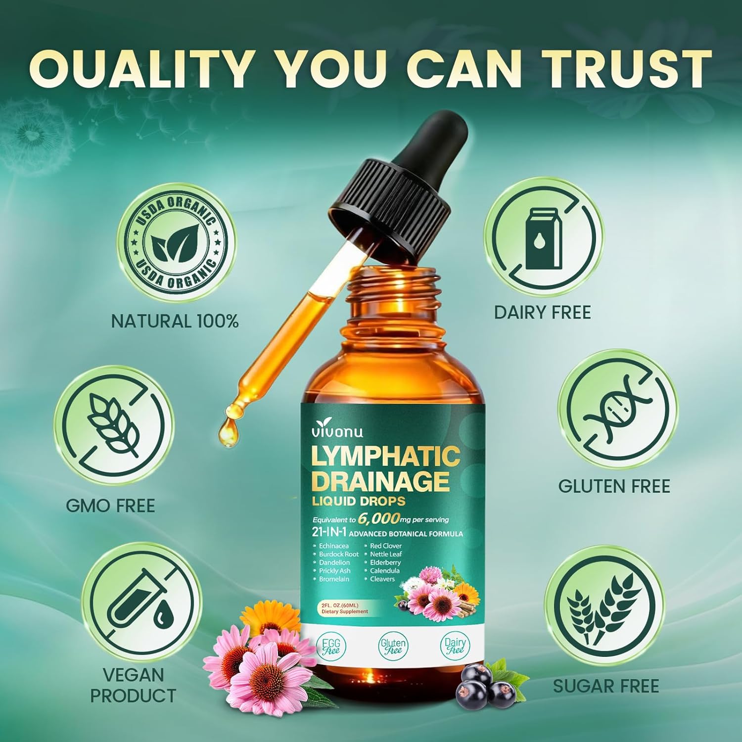 21-in-1 Lymphatic Drainage Drops for Liposomal, Immune & Lymph System Support Supplement for Women & Men with Echinacea, Dandelion, Burdock, Bromelain, Calendula, Turmeric & More, 2 FL OZ - Image 6
