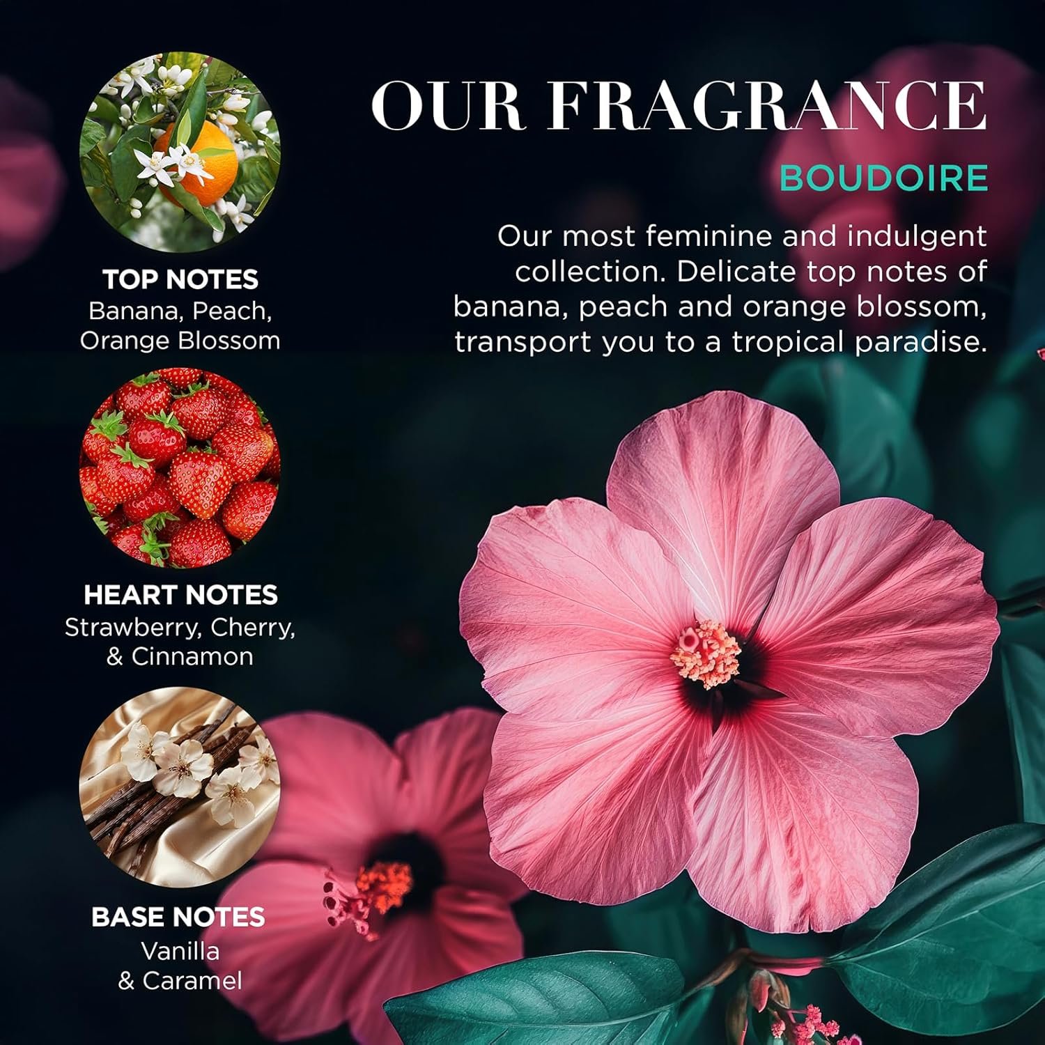 Baylis & Harding Boudoire Tropical Paradise Luxury Hand Care Gift Set For Women - Vegan Friendly - Image 4