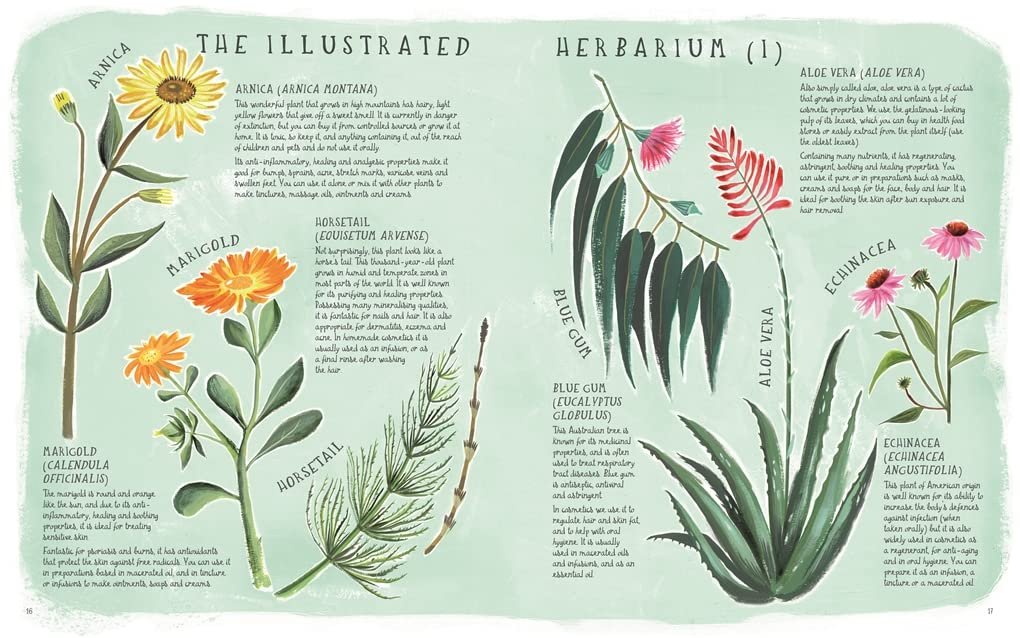 Organic Beauty: An Illustrated Guide to Making Your Own Skincare - Image 2