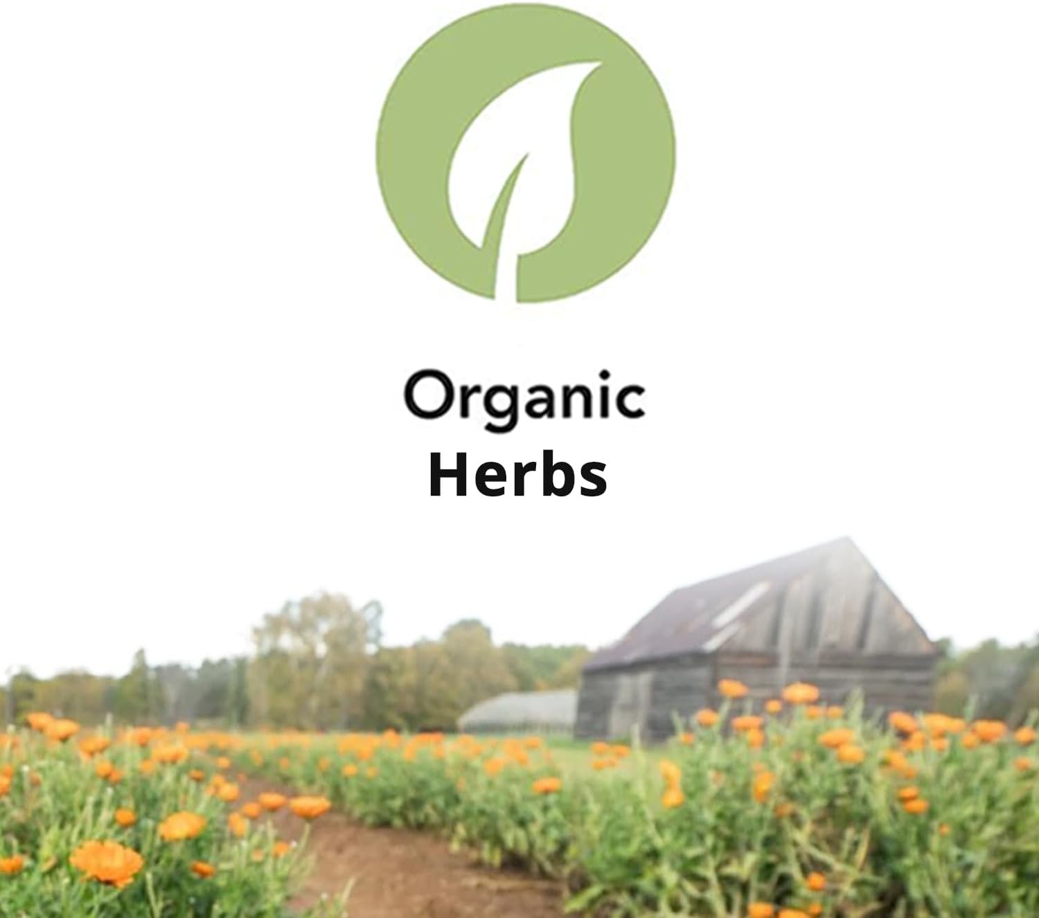 St. Francis Herb Farm Deep Immune® (3.4floz) Immune Support (1 Bottle) Organic Herbs, Vegan, Vegetarian - Image 4