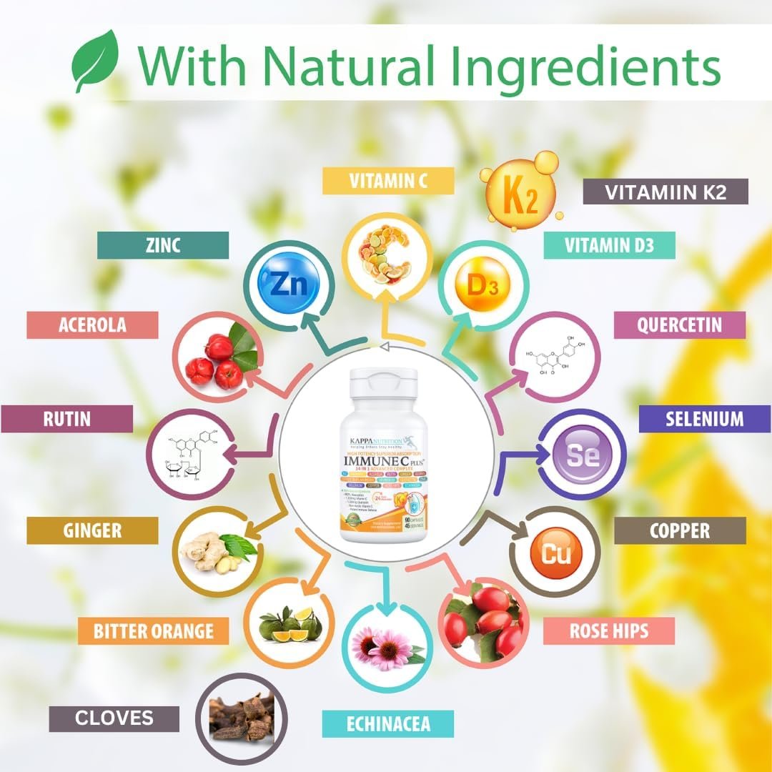 Quercetin 1,000mg, Vitamin C 1,000mg, Zinc 50mg, Vitamin D3 5,000iu, Selenium, Copper, Acerola, Ginger, Rutin, Bitter Orange, Rose Hips, Echinacea, Immune C Plus, 14 in 1 Immune C Plus (60 Count) - Image 4
