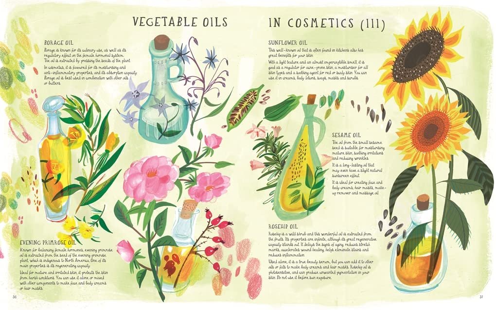 Organic Beauty: An Illustrated Guide to Making Your Own Skincare - Image 4