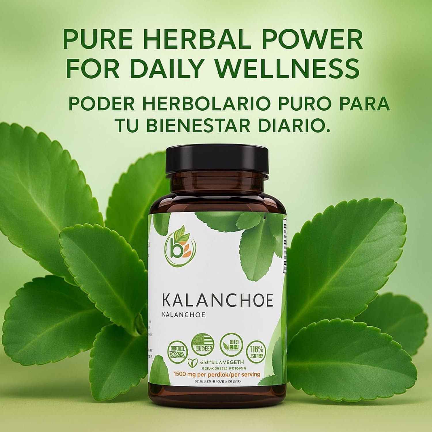 Kalanchoe Pinnata Forte(Leaf of Life) 90 Capsules (1500 mg per Serving)Bryophyllum Pinnatum – 100% Natural,Vegan,Non-GMO, Herbal Dietary Supplement for Antioxidant & Wellness Support – by BexpertsUSA - Image 7