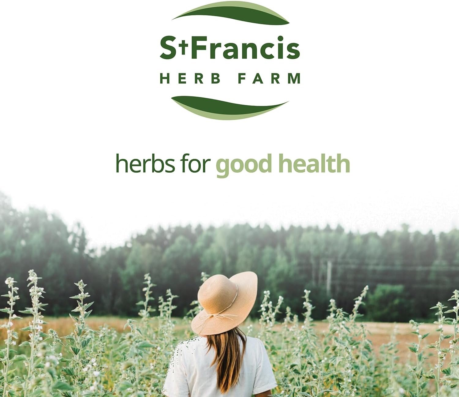 St. Francis Herb Farm Deep Immune® (3.4floz) Immune Support (1 Bottle) Organic Herbs, Vegan, Vegetarian - Image 8