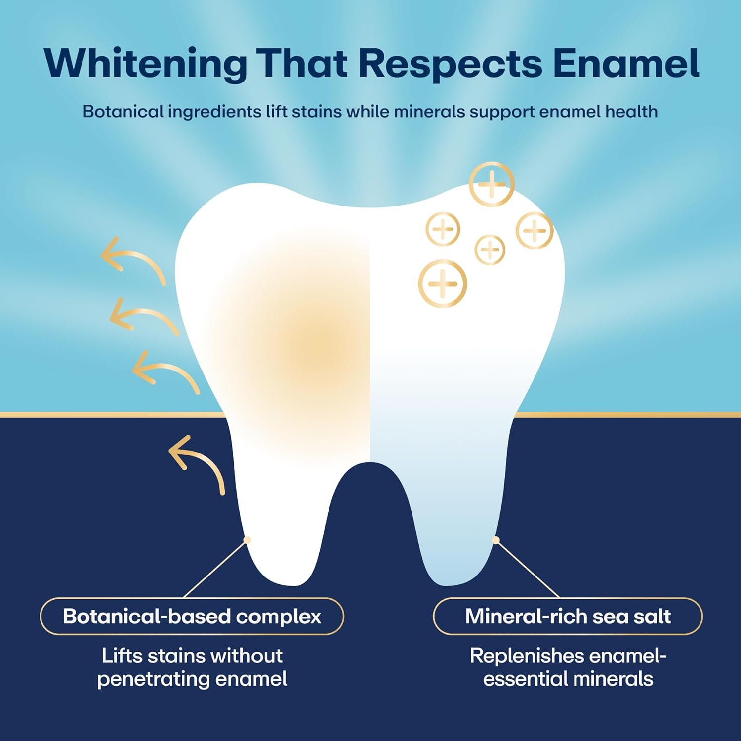 Lumineux Teeth Whitening Strips Kit - 9 Treatments (1 Month) - Peroxide Free - Enamel Safe for Whiter Teeth - Whitening Without The Sensitivity - Dentist Formulated - Sensitivity Free - Image 3