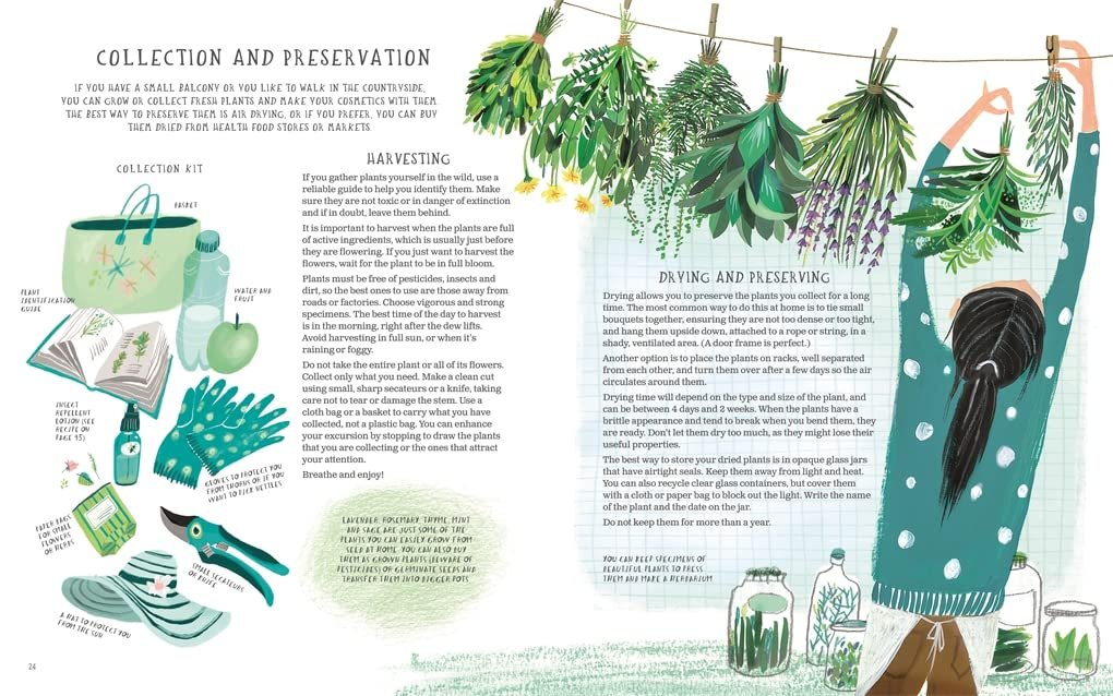 Organic Beauty: An Illustrated Guide to Making Your Own Skincare - Image 3