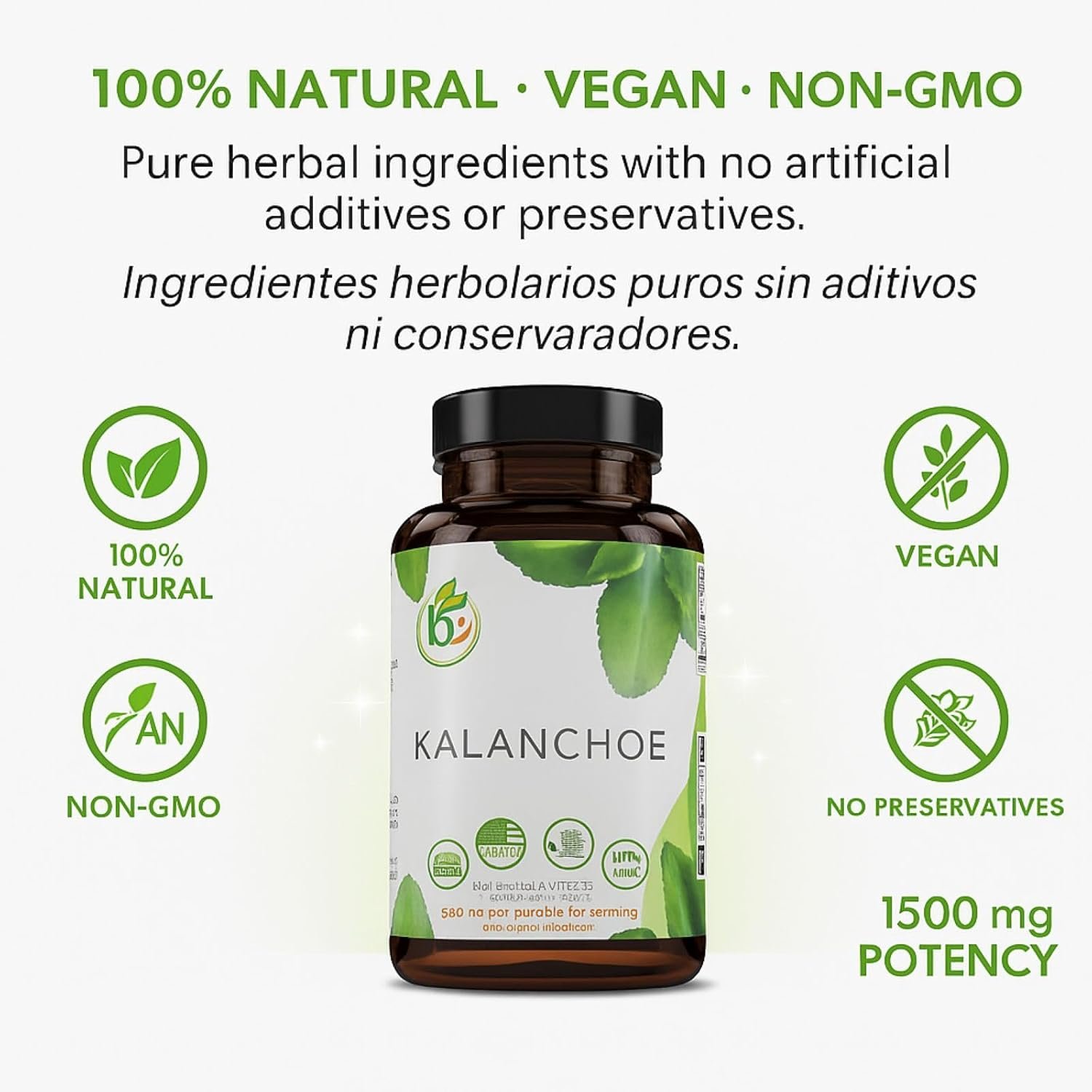 Kalanchoe Pinnata Forte(Leaf of Life) 90 Capsules (1500 mg per Serving)Bryophyllum Pinnatum – 100% Natural,Vegan,Non-GMO, Herbal Dietary Supplement for Antioxidant & Wellness Support – by BexpertsUSA - Image 4