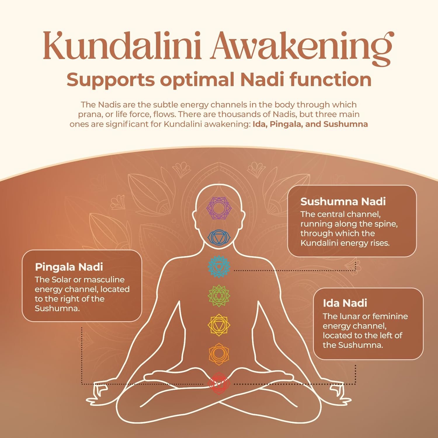 KUNDALINI AWAKENING Herbal Supplement – Ayurvedic Herbal Blend with Ashwagandha, Bacopa, Tulsi, and Haritaki – Supports Spiritual Growth, Chakra activation, Meditation, & Higher Consciousness. - Image 6
