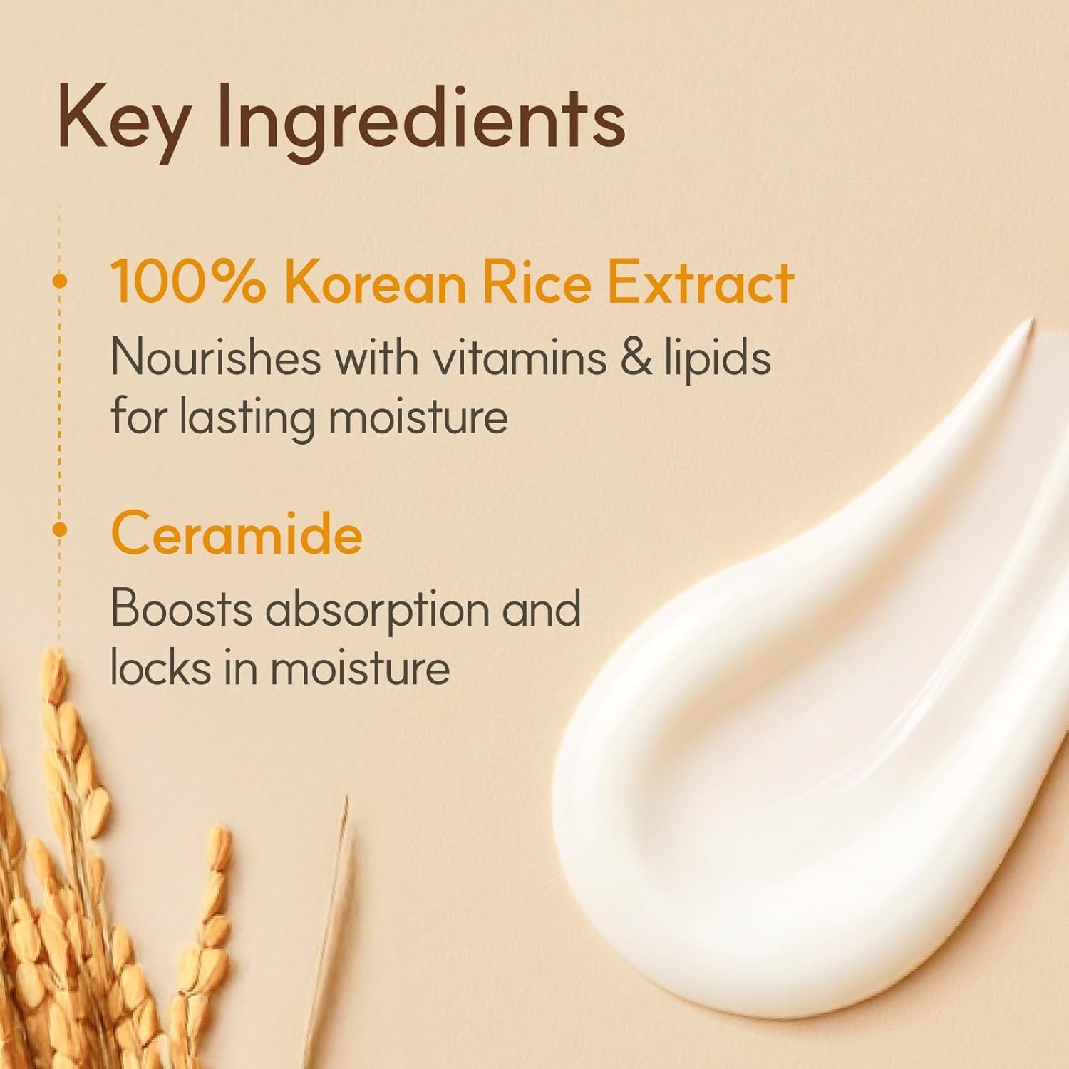 The Face Shop Rice Ceramide Cream, Hydrating Face Moisturizer, for Dry & Combination Skin, Lightweight, Fast-absorbing, 1.69 fl. oz. - Image 4