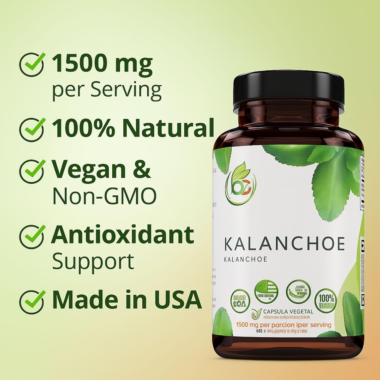 Kalanchoe Pinnata Forte(Leaf of Life) 90 Capsules (1500 mg per Serving)Bryophyllum Pinnatum – 100% Natural,Vegan,Non-GMO, Herbal Dietary Supplement for Antioxidant & Wellness Support – by BexpertsUSA - Image 6