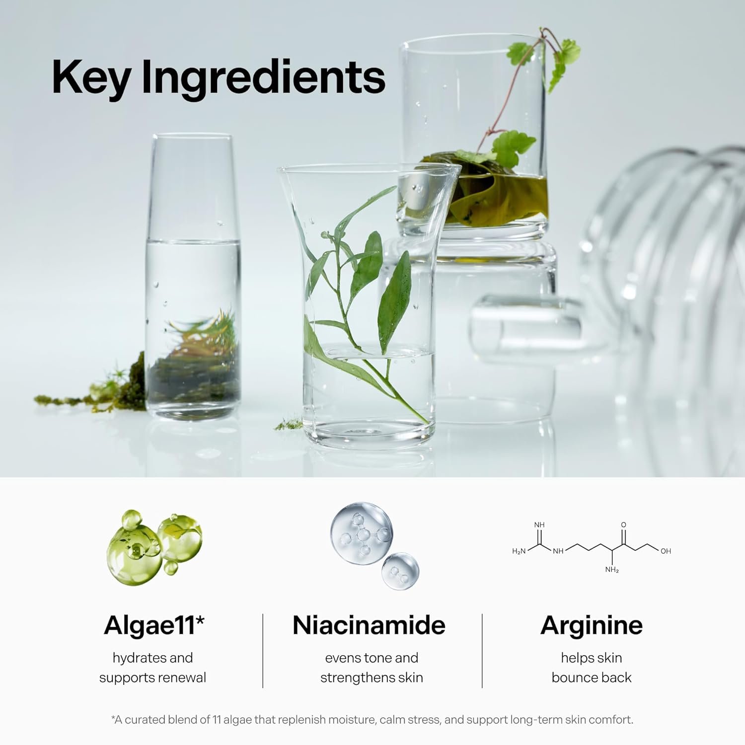 Ultra Intensive Cream, Hydrating Korean Face Moisturizer with Niacinamide, Arginine & Algae11 Extracts, Non-greasy Barrier Cream for Dry, Oily or Sensitive Skin, 50ml / 1.69 fl.oz. - Image 6