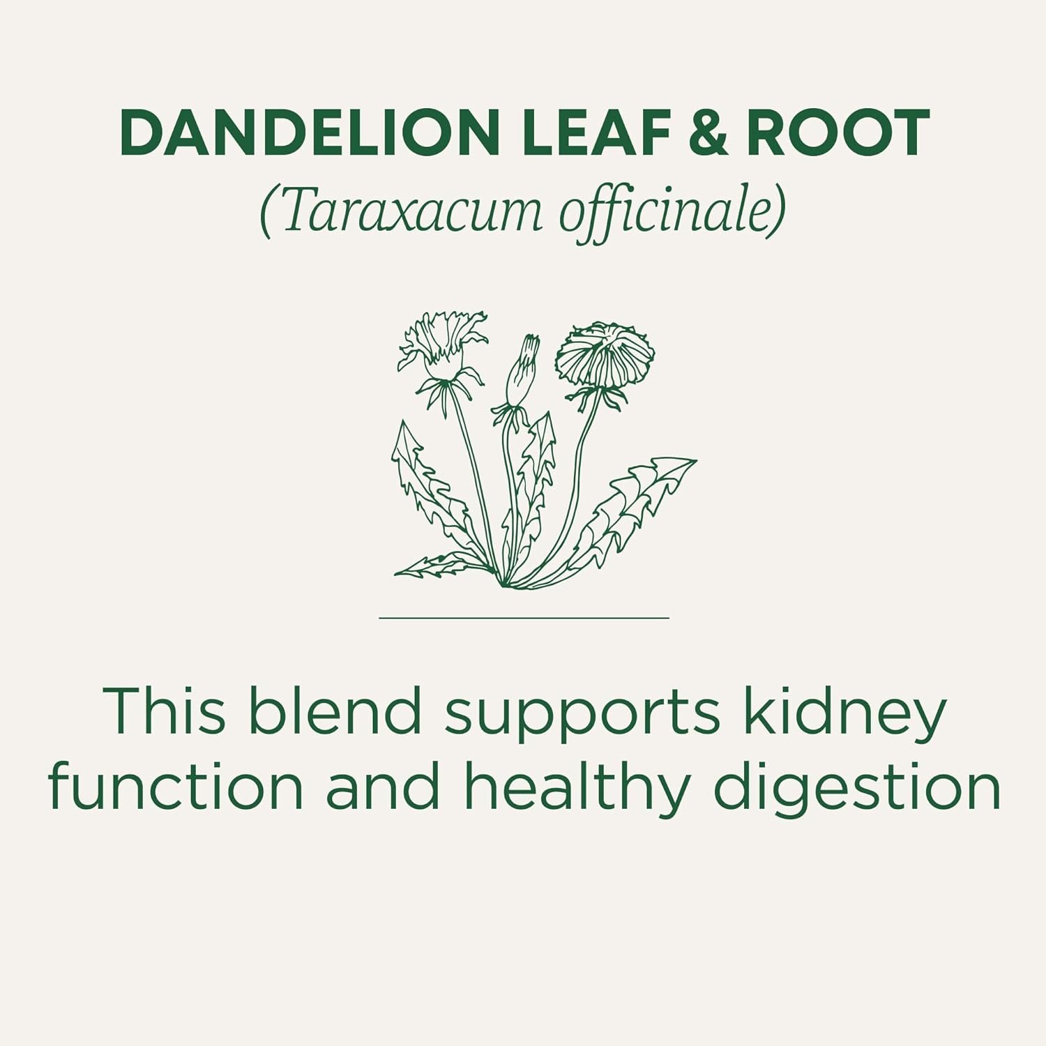 Traditional Medicinals Organic, Dandelion Leaf & Root - Dandelion Root Tea, Supports Normal Detox + Digestion - Kosher, Non-GMO, Caffeine-Free, Compostable - 16 Tea Bags - Image 3