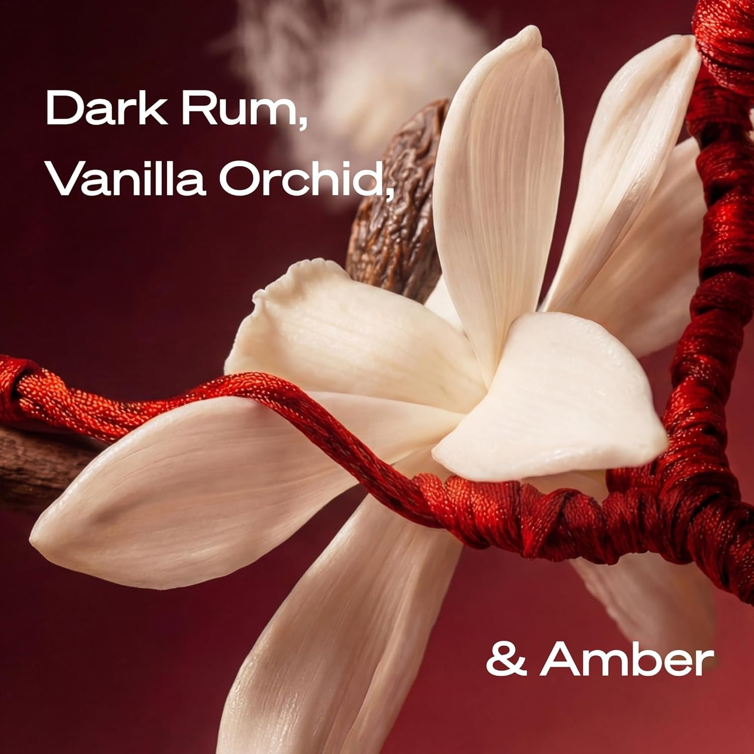 STRING THEORY Pheromone Perfume for Women - Spicy & Sweet Vanilla Amber Boozy Gourmand Musk - Dark Rum, Vanilla, Creamy Tonka Bean - Lasts 4-6 Hrs Long - Pheromones Phero-Mimetic Eau de Parfum Perfume - Image 3