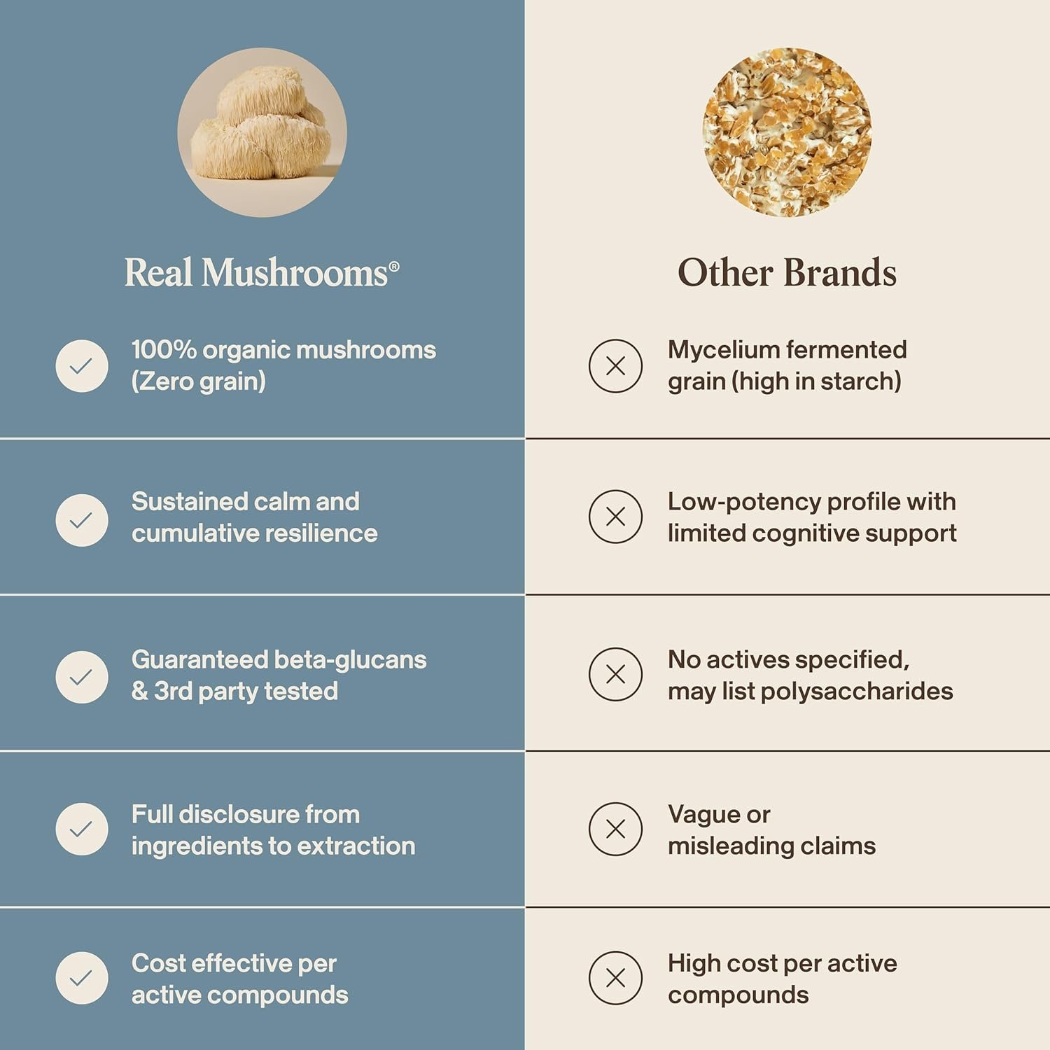 Real Mushrooms Calm Lions Mane Capsules (90 Count) – 400mg Organic Lions Mane Fruiting Body Extracts, 200mg Organic Reishi, 200mg AlphaWave L-Theanine for Calm Clarity & Relaxed Alertness, 90ct - Image 7