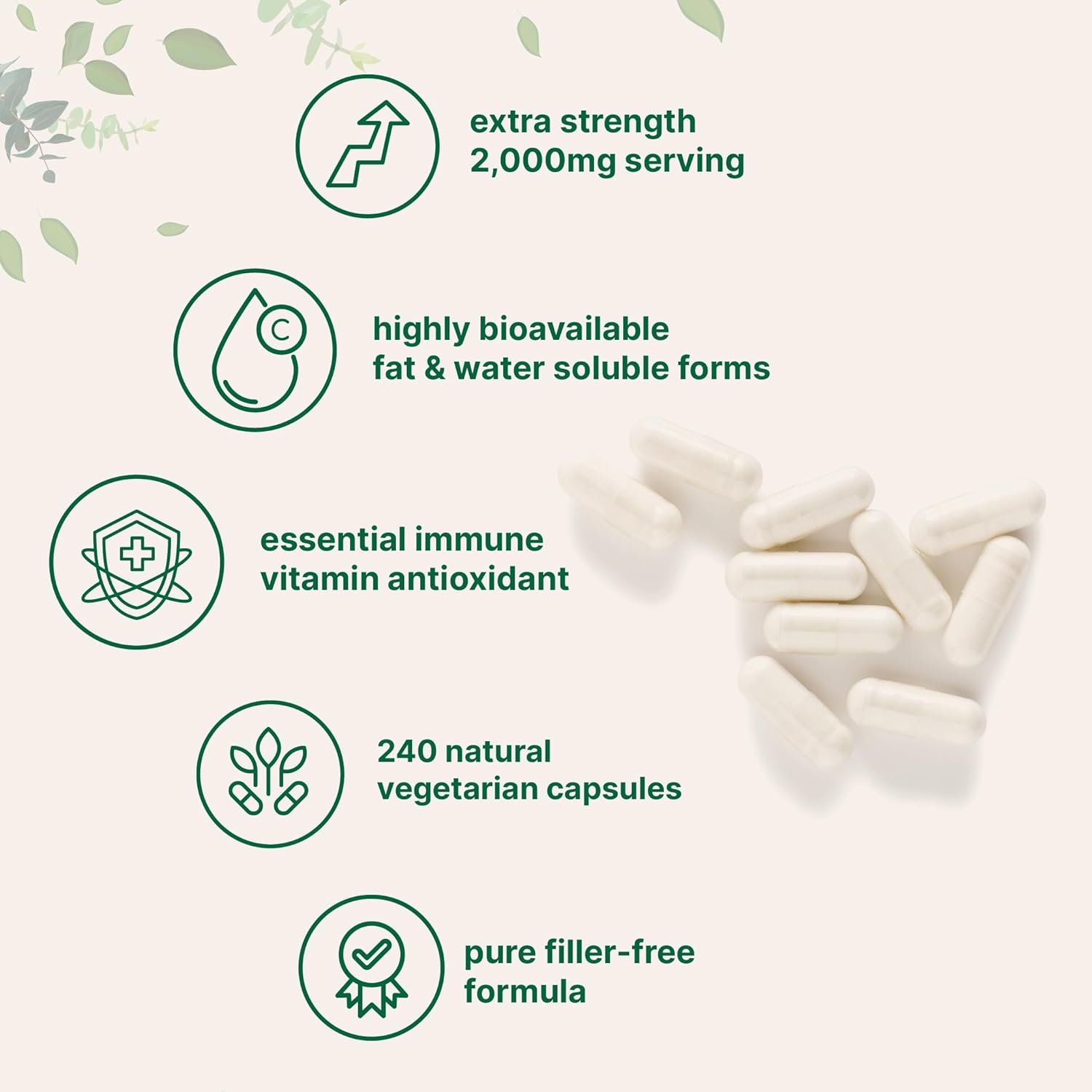 Pure Vitamin C 2,000mg, 240 Veggie Capsules | Highly Bioavailable Fat & Water Soluble Forms | Max Potency | Antioxidant & Immune Support Supplement | Easily Absorbed, Non-GMO, Filler Free - Image 3