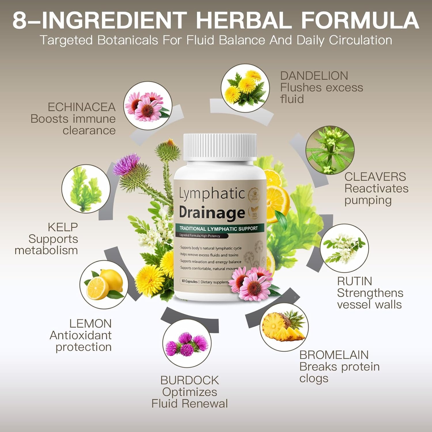 Lymphatic Drainage Capsules Natural Herbal Supplement for Fluid Balance & Immune Health and Daily Lymphatic Wellness, with Echinacea, Dandelion, and Burdock 60 Capsules - Image 4