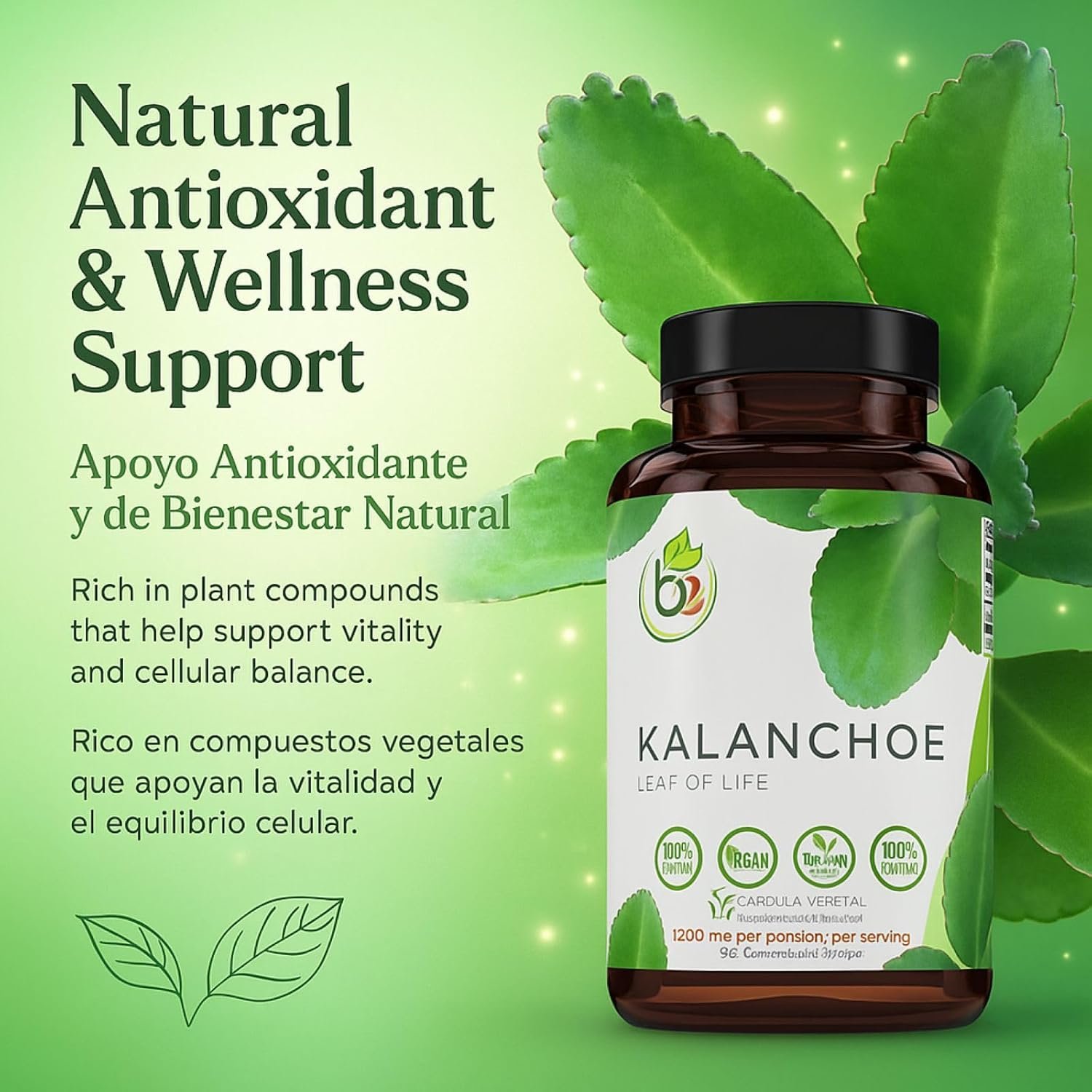 Kalanchoe Pinnata Forte(Leaf of Life) 90 Capsules (1500 mg per Serving)Bryophyllum Pinnatum – 100% Natural,Vegan,Non-GMO, Herbal Dietary Supplement for Antioxidant & Wellness Support – by BexpertsUSA - Image 2