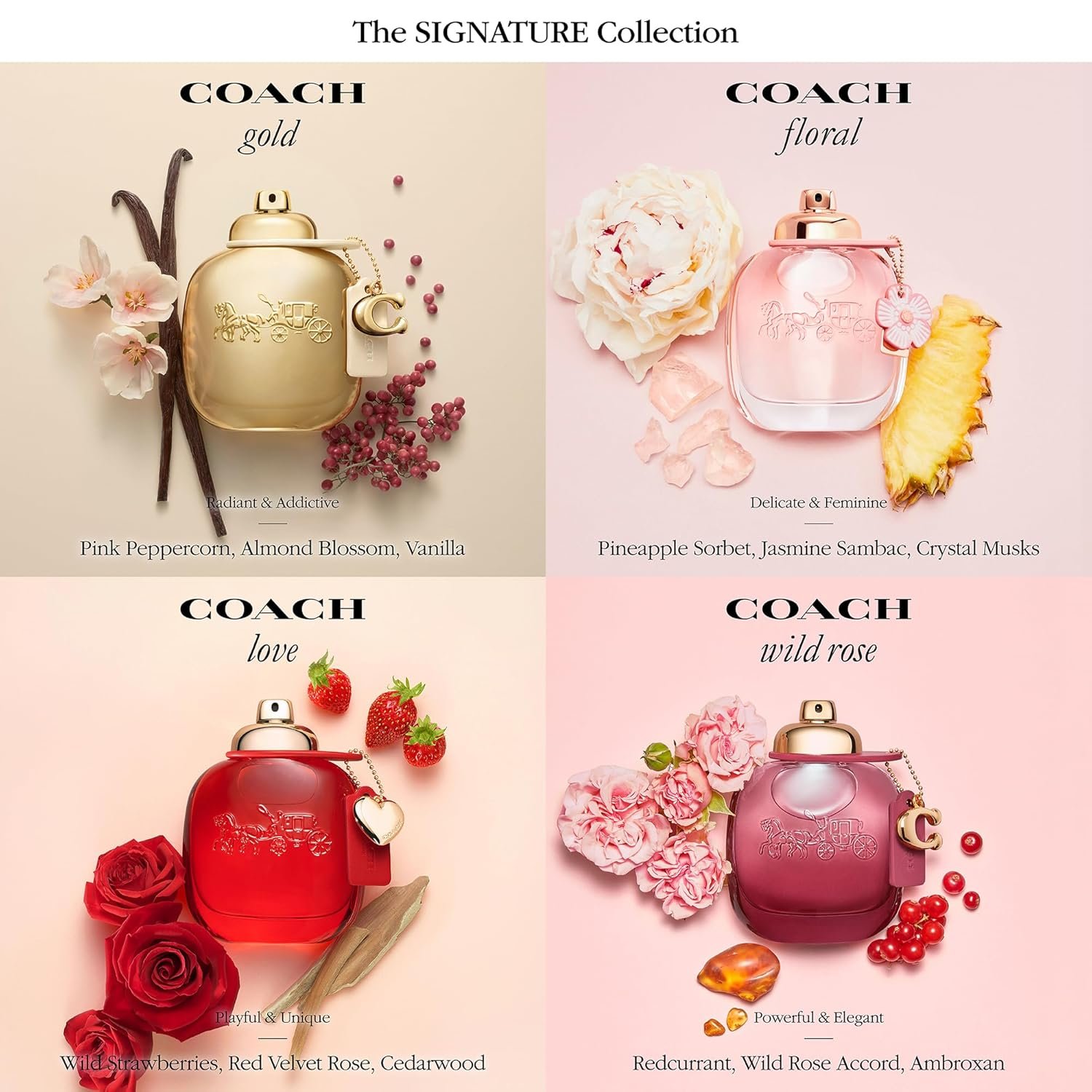 Coach Floral Eau de Parfum - Women's Fragrance - Floral Fruity - With notes of Pineapple Sorbet, Sambac Jasmine & Crystal Musks - Image 6