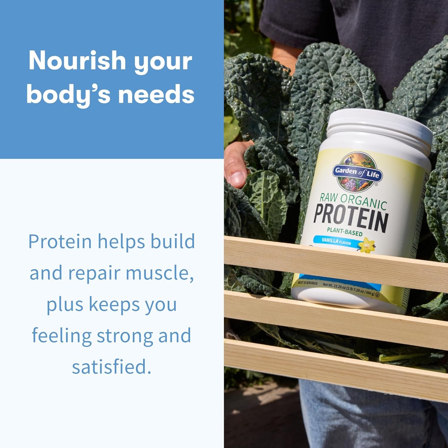 Garden Of Life Protein Powder, Vegan Protein Powder, Bcaa, Probiotics & Digestive Enzymes, Gluten & Lactose Free, Vanilla, 23.28 Ounce - Image 4