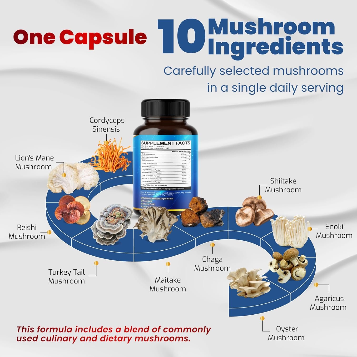 10 in 1 High Strength Mushroom Supplement - Lions Mane, Cordyceps, Reishi - Brain Supplements for Memory and Focus - Image 2