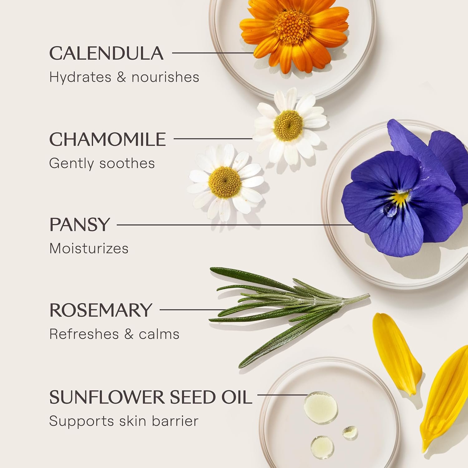 Weleda Skin Food Brightening Serum Stick with Vitamin C and Hyaluronic Acid - Image 8
