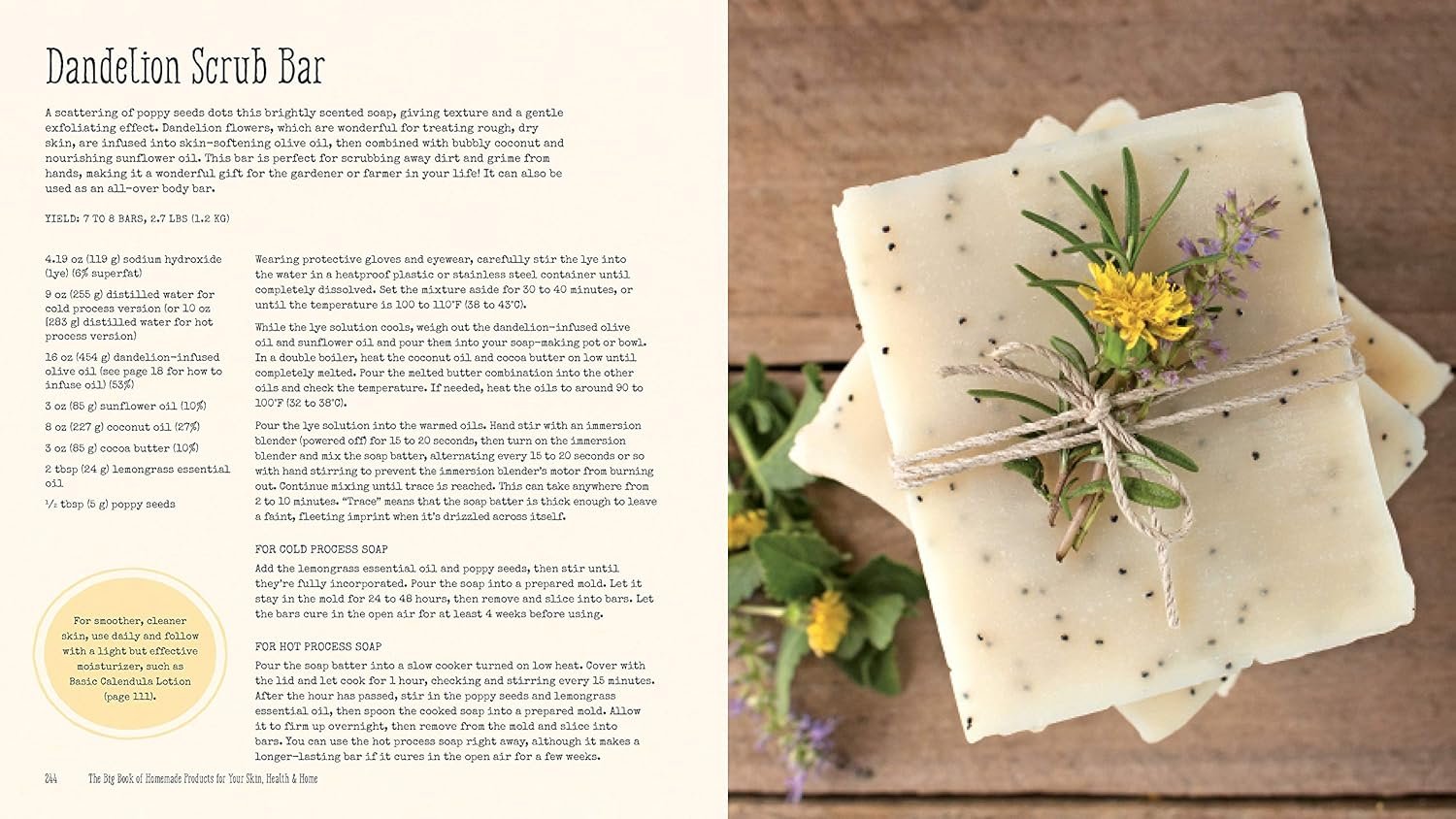 The Big Book of Homemade Products for Your Skin, Health and Home: Easy, All-Natural DIY Projects Using Herbs, Flowers and Other Plants - Image 6