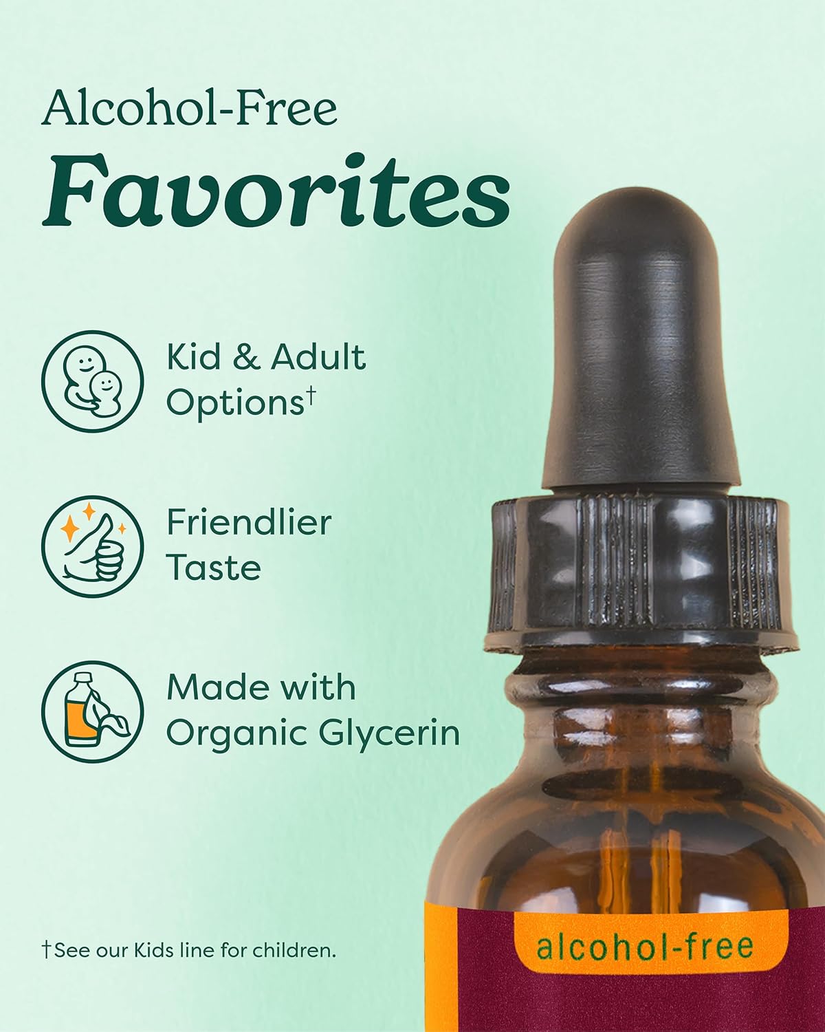 Herb Pharm Kids Immune Fortifier: Alcohol-Free Organic Immunity Supplement with Elderberry & Echinacea, Liquid Herbal Formula, 1 oz - Image 4