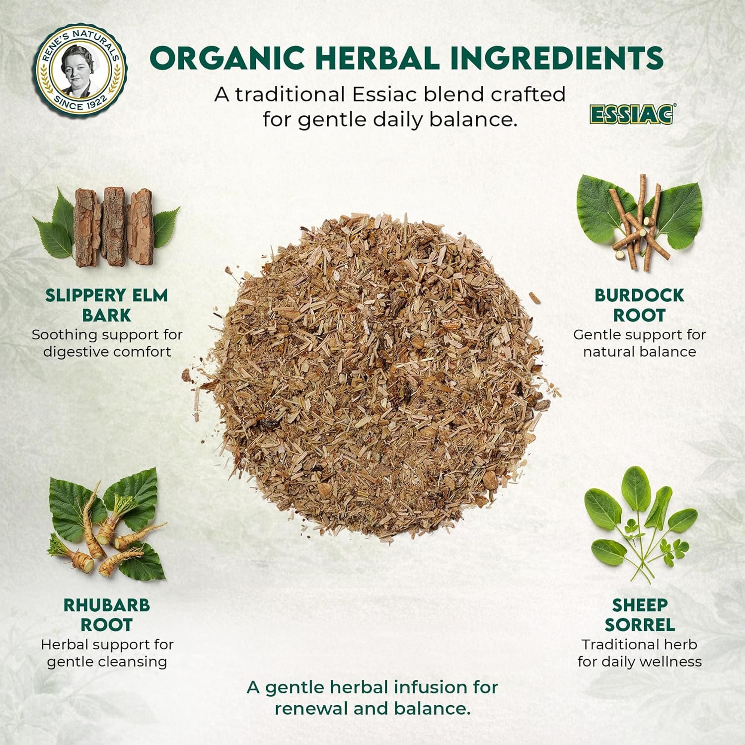 Rene’s Naturals Essiac Tea Bags – USDA Organic - Original 4-Herb Formula Since 1922 –, Non-GMO, Vegan – 32 Teabags – Gentle Daily Cleansing & Digestive Support with Organic Burdock Root, Sheep Sorrel & Slippery Elm - Image 2