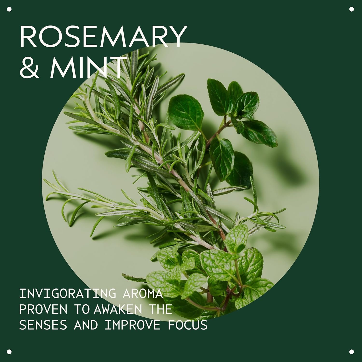Aveda Rosemary Mint Weightless Conditioner | Lightweight Daily Conditioner | Adds Body & Shine| For Normal to Oily Hair, Fine to Medium Hair | Invigorating Aroma | 97% Naturally Derived - Image 4