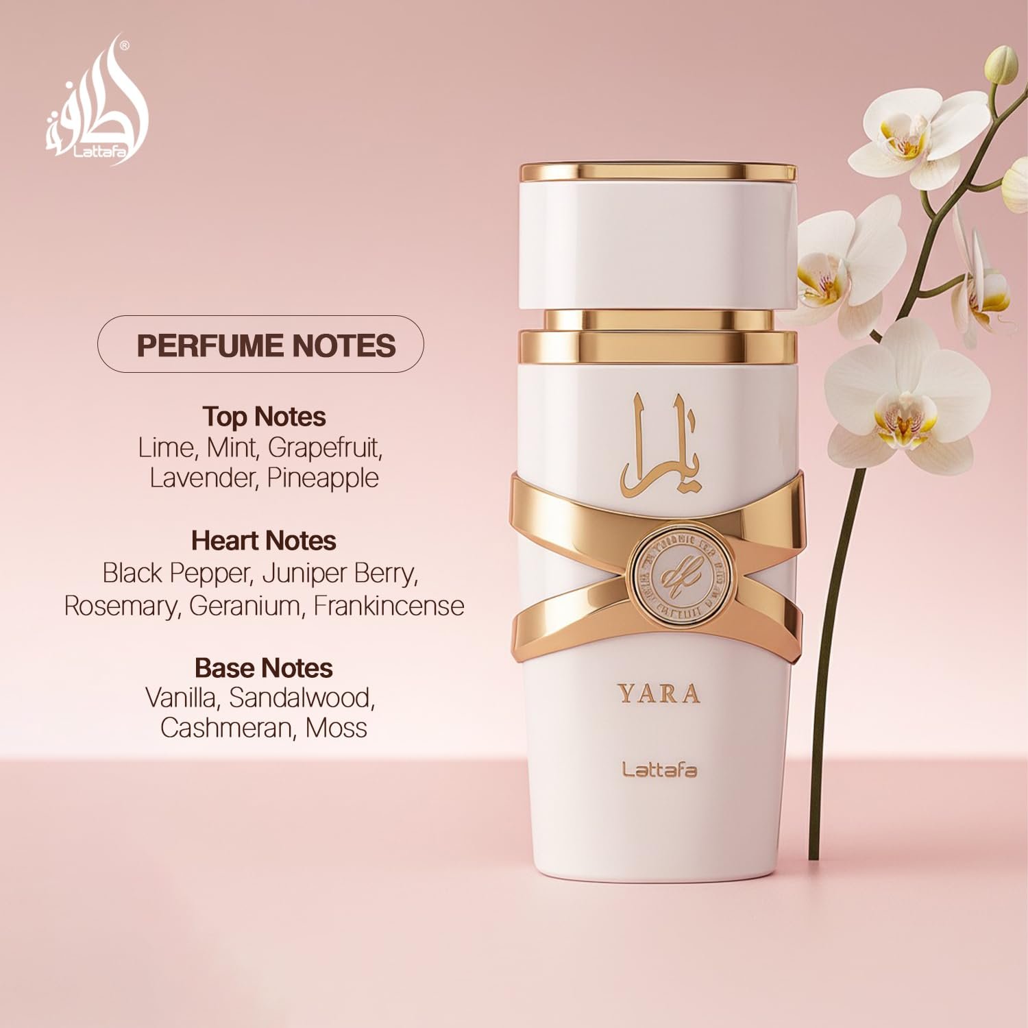 Lattafa Yara Moi - Floral, Fruity, Gourmand - Eau de Parfum Long-Lasting Fragrance for Women, 3.40 Ounce / 100 ml - Image 4