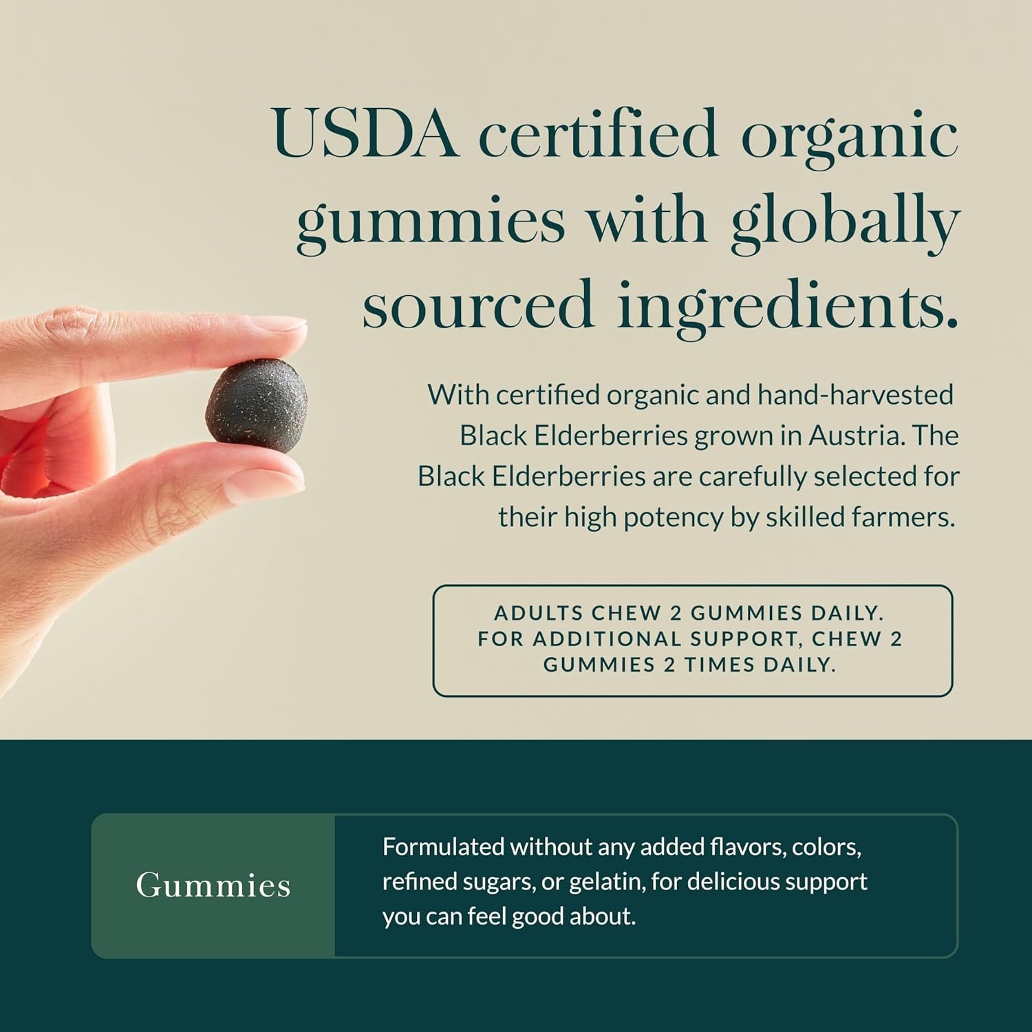 Gaia Herbs Black Elderberry (Sambucus nigra) Extra Strength Gummies - Delicious Immune Support Supplement* - Certified Organic Black Elderberries for Immune System Support* - 120 Gummies (60 Servings) - Image 4