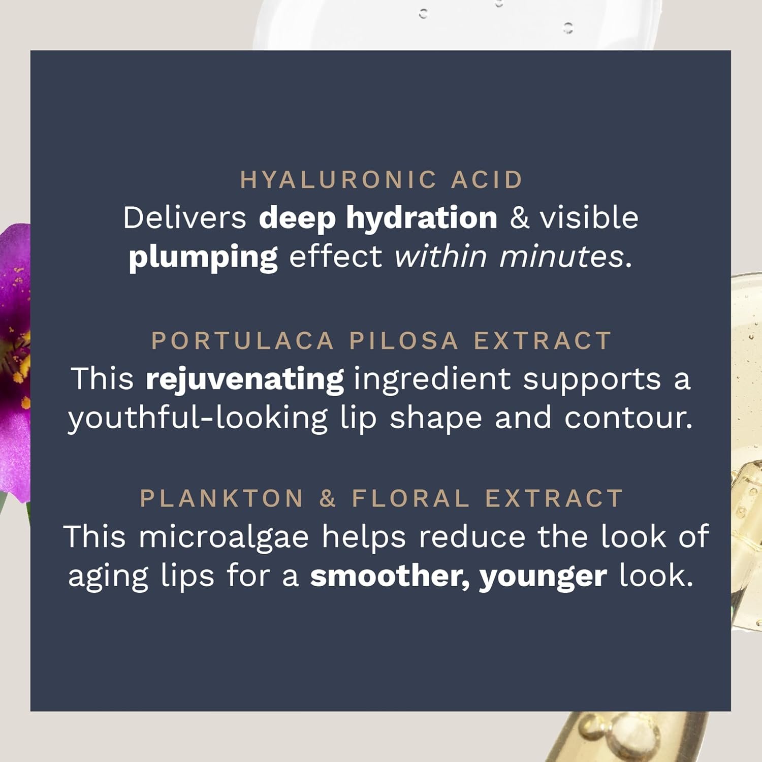 City Beauty City Lips Night Oil - Plump, Hydrate, and Restore Overnight - Anti-Aging Lip Treatment - Conditioning Lip Oil with Hyaluronic Acid & Plant Extracts - Image 6
