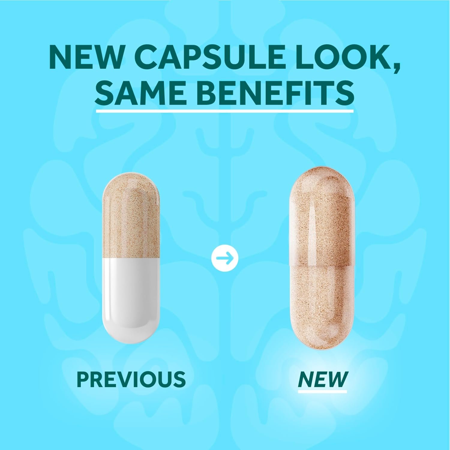 NEURIVA Plus Brain Supplements for Memory and Focus, Clinically Tested Nootropics Neurofactor and Phosphatidylserine, with Vitamin B12, Vitamin B6 and Folic Acid, 30 Count Capsules - Image 8