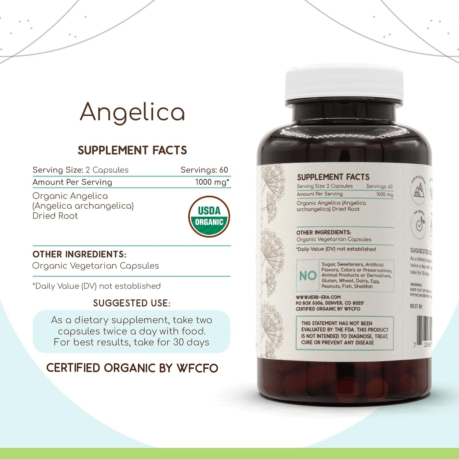 HerbEra Angelica USDA Organic 120 Capsules | Natural Herbal Supplement | Certified Organic Vegetarian Capsules and Organic Angelica archangelica Dried Root (120 Capsules) - Image 2