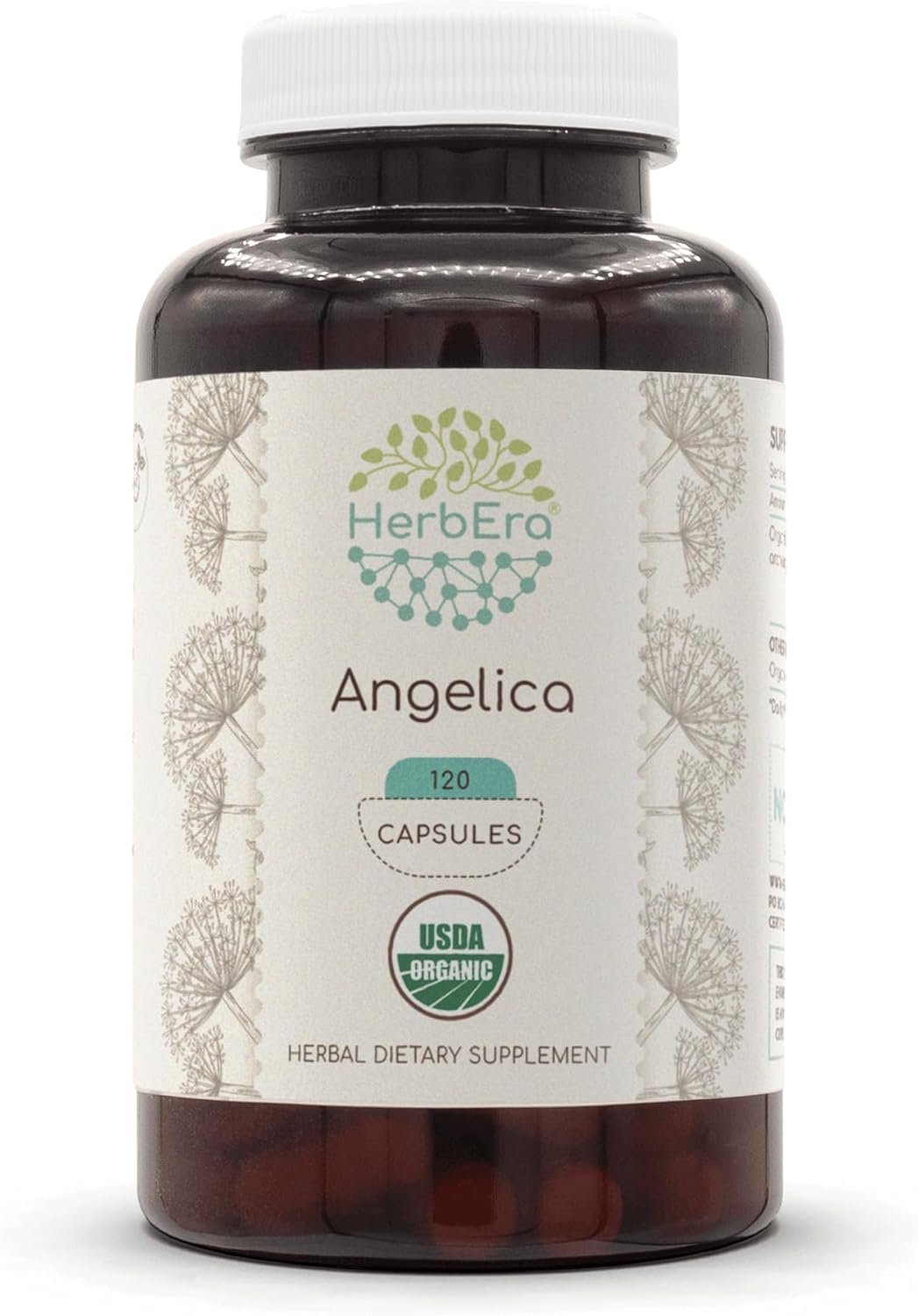 HerbEra Angelica USDA Organic 120 Capsules | Natural Herbal Supplement | Certified Organic Vegetarian Capsules and Organic Angelica archangelica Dried Root (120 Capsules)