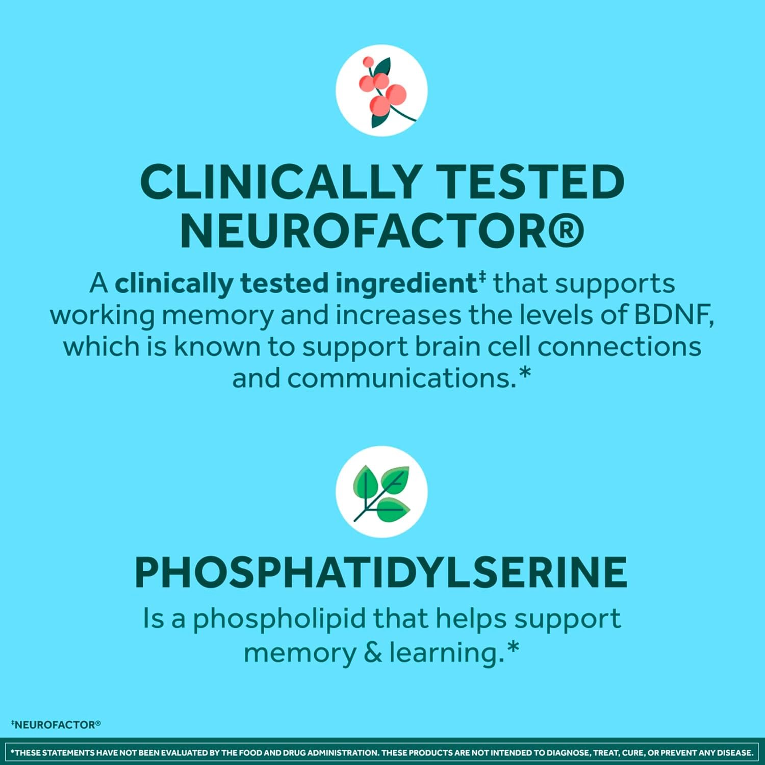 NEURIVA Plus Brain Supplements for Memory and Focus, Clinically Tested Nootropics Neurofactor and Phosphatidylserine, with Vitamin B12, Vitamin B6 and Folic Acid, 30 Count Capsules - Image 4