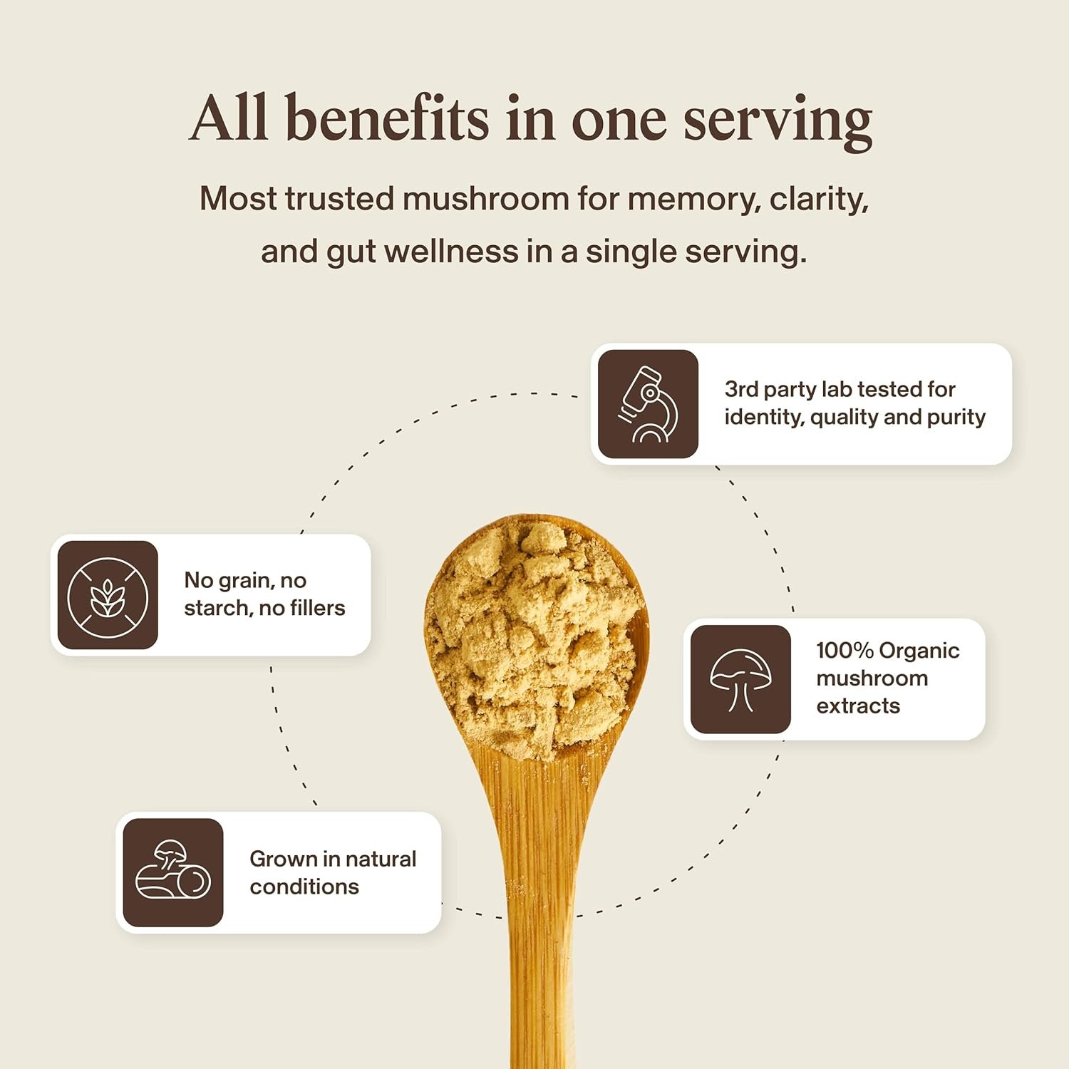 Real Mushrooms Lions Mane Mushroom Cognition (120 Capsules) Lions Mane Mushroom Powder Extract Capsules | Brain Supplement, Brain Vitamins, Focus Supplement - Image 8
