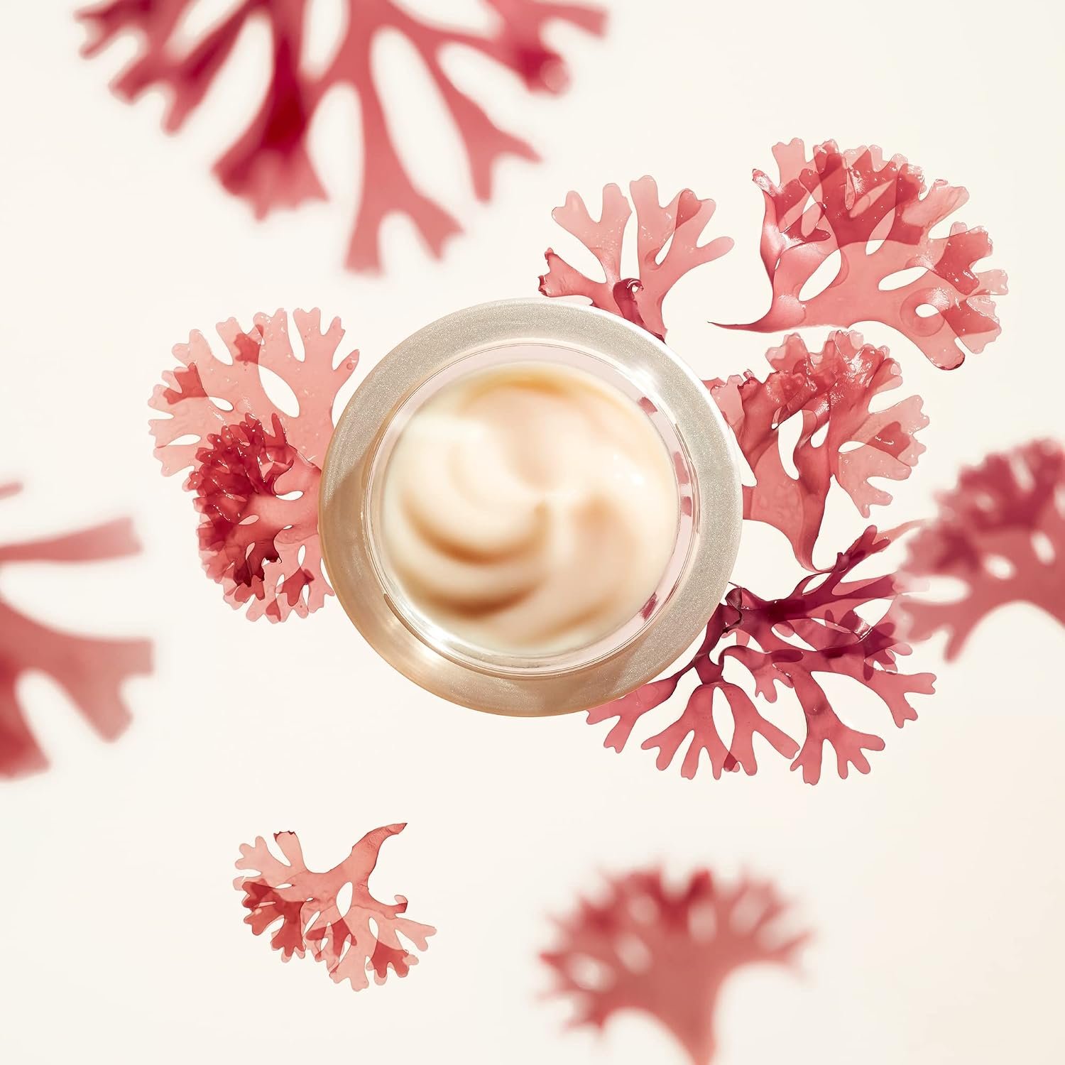 Shiseido Benefiance Wrinkle Smoothing Cream - 50 mL - Anti-Aging Moisturizer for Normal & Combination Skin - Visibly Corrects Wrinkles & Intensely Hydrates - Non-Comedogenic - Image 6