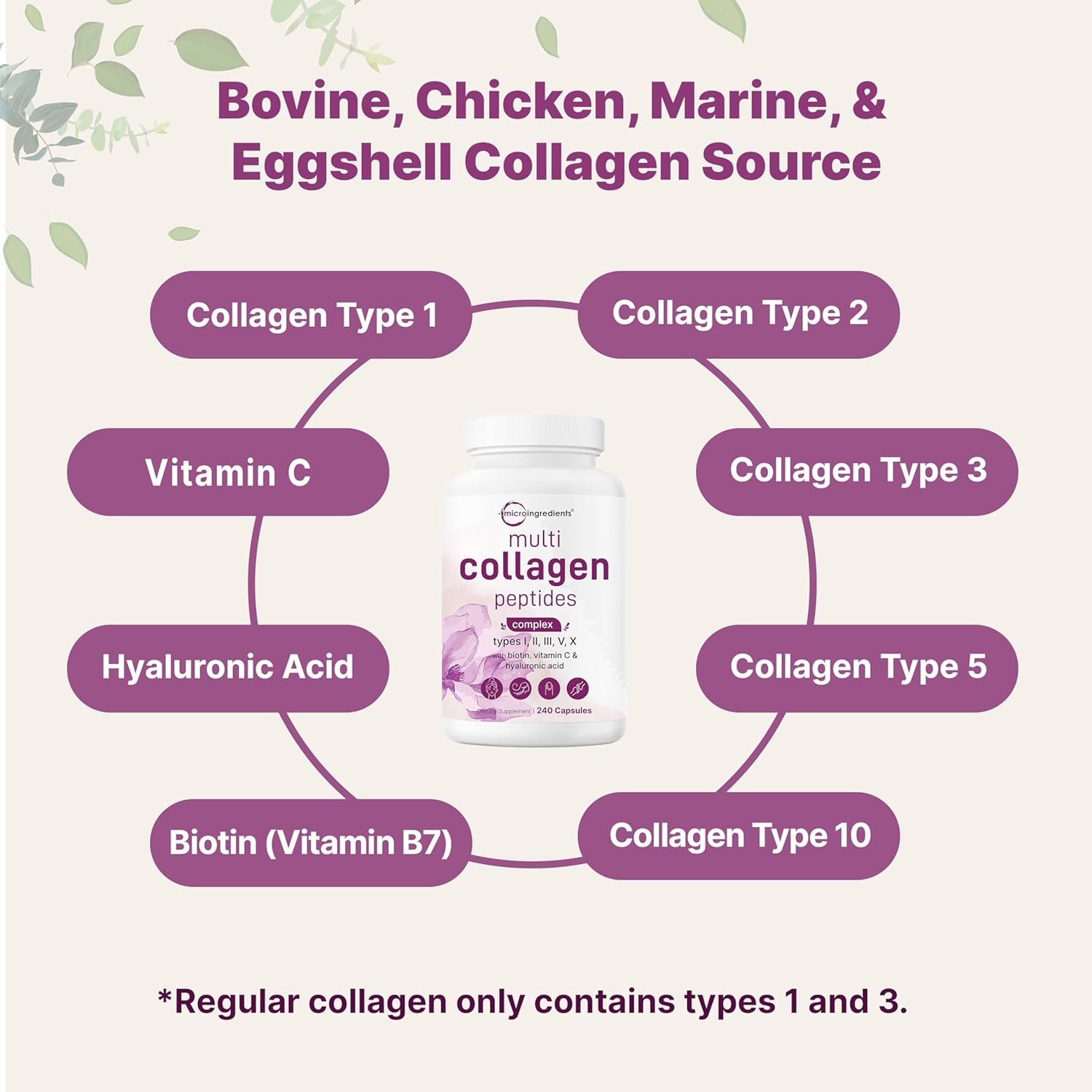 Micro Ingredients Multi Collagen Pills, 240 Capsules | Type I, II, III, V, X | Hydrolyzed Peptides with Biotin, Hyaluronic Acid, & Fat Soluble Vitamin C Complex | Non-GMO, Filler Free - Image 4