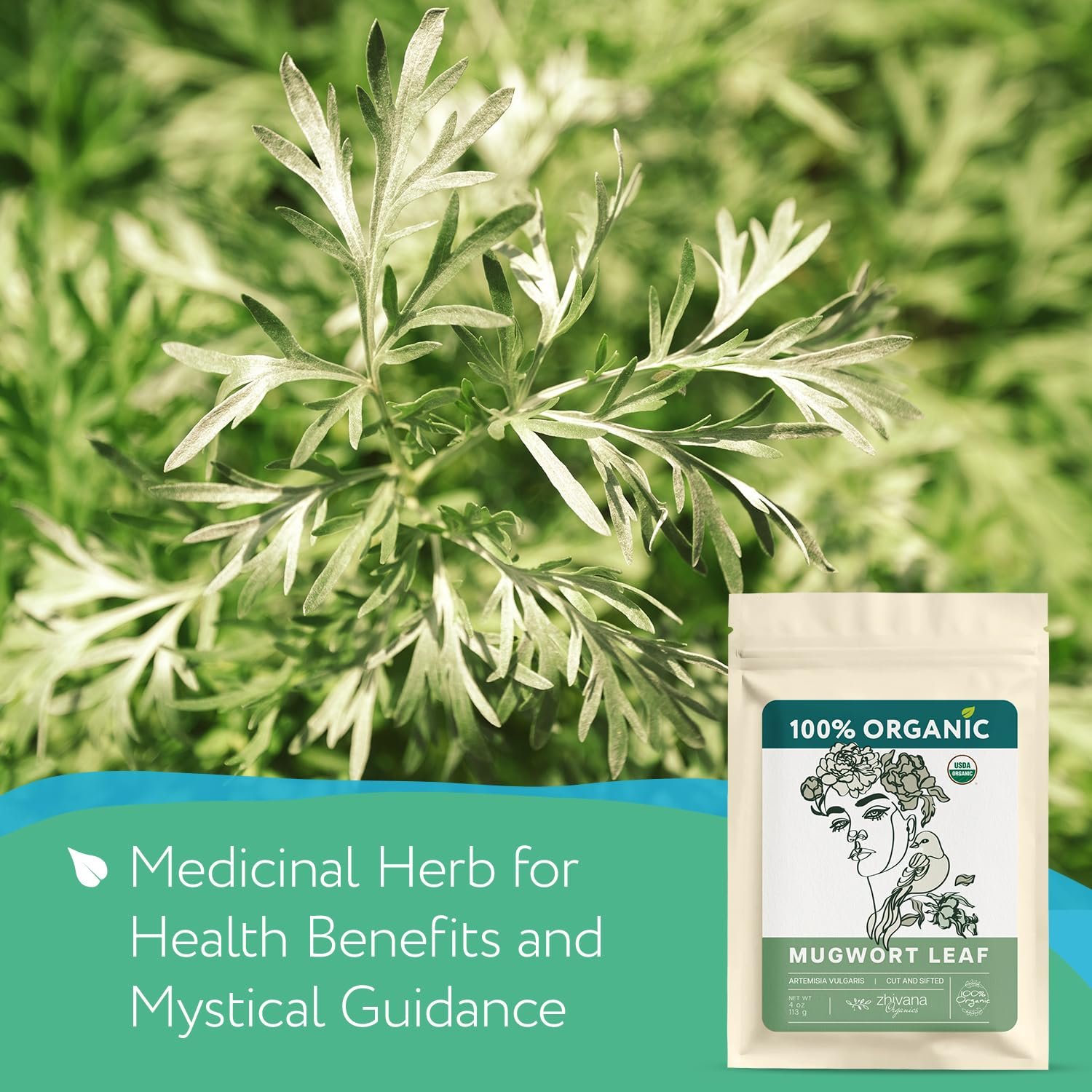 Mugwort Tea Organic Loose Leaf (4oz) – Mugwort Herb - Artemisia Hierba Seca Organica – Dried Mugwart Leaves - Image 3