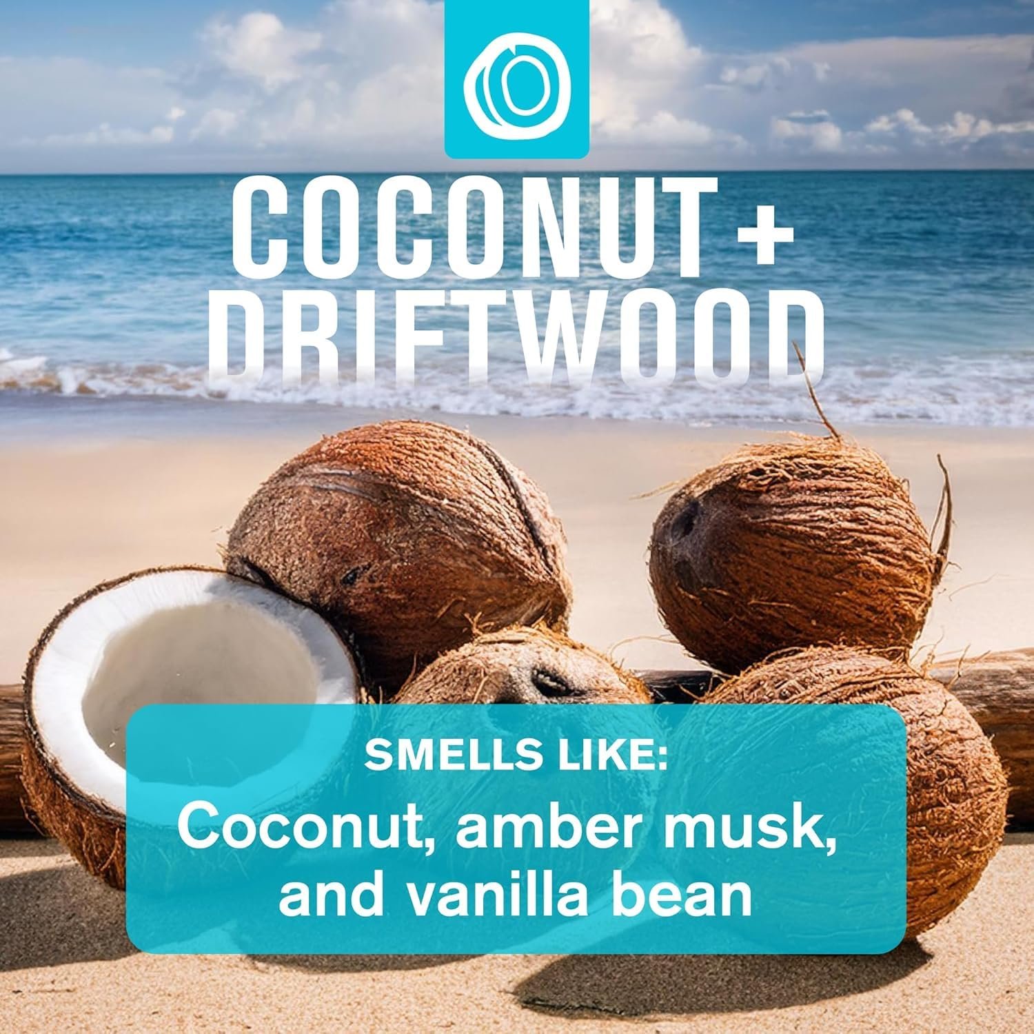 Every Man Jack Men's Bath and Body Gift Set - Coconut + Driftwood Scent - Clean Ingredients - Includes Hydrating Body Wash, 2-in-1 Shampoo, Aluminum-free Deodorant & Face Wash - Image 4