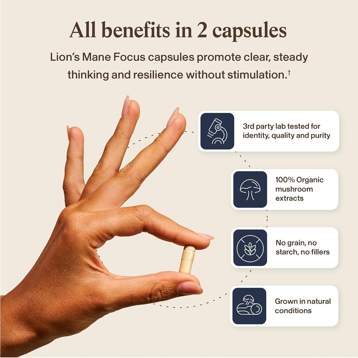 Real Mushrooms Lion’s Mane Focus Capsules (90 Count) – Organic Lions Mane Fruiting Body Extracts with 200mg Alpha GPC Choline for Mental Clarity & Daily Cognitive Function - Image 6