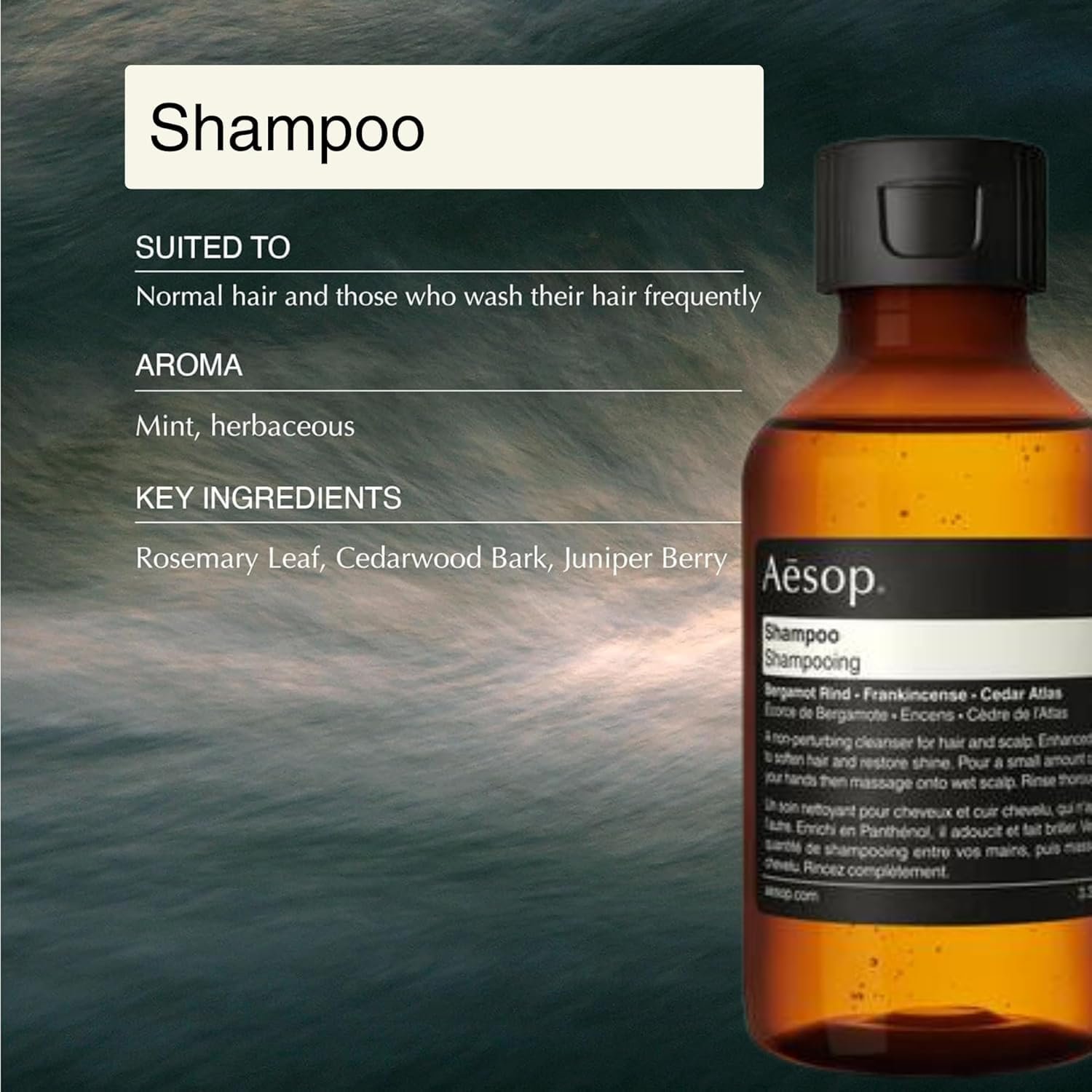 Aesop Arrival Travel Shower Set (4-Piece) Hair & Body Care Kit – Shampoo, Conditioner, Geranium Leaf Body Cleanser & Rind Concentrate Body Balm – 1.7oz/50mL Each – Gift Set with Reusable Canvas Bag - Image 4