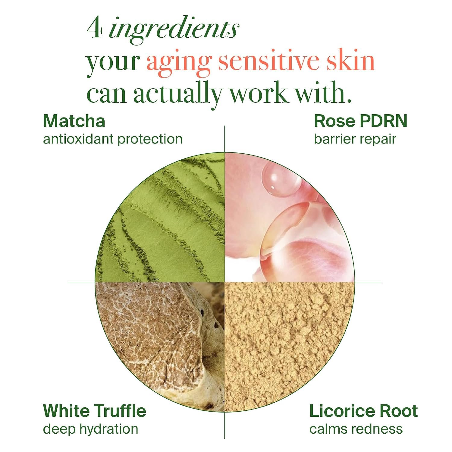 Matcha Anti Aging Face Cream Rose PDRN, Korean Hydrating Firming Facial Moisturizer to Reduce Wrinkles, Soothing Radiance, Glowy Skin, Day & Night Cream for All Skin Types,3.53 oz - Image 3