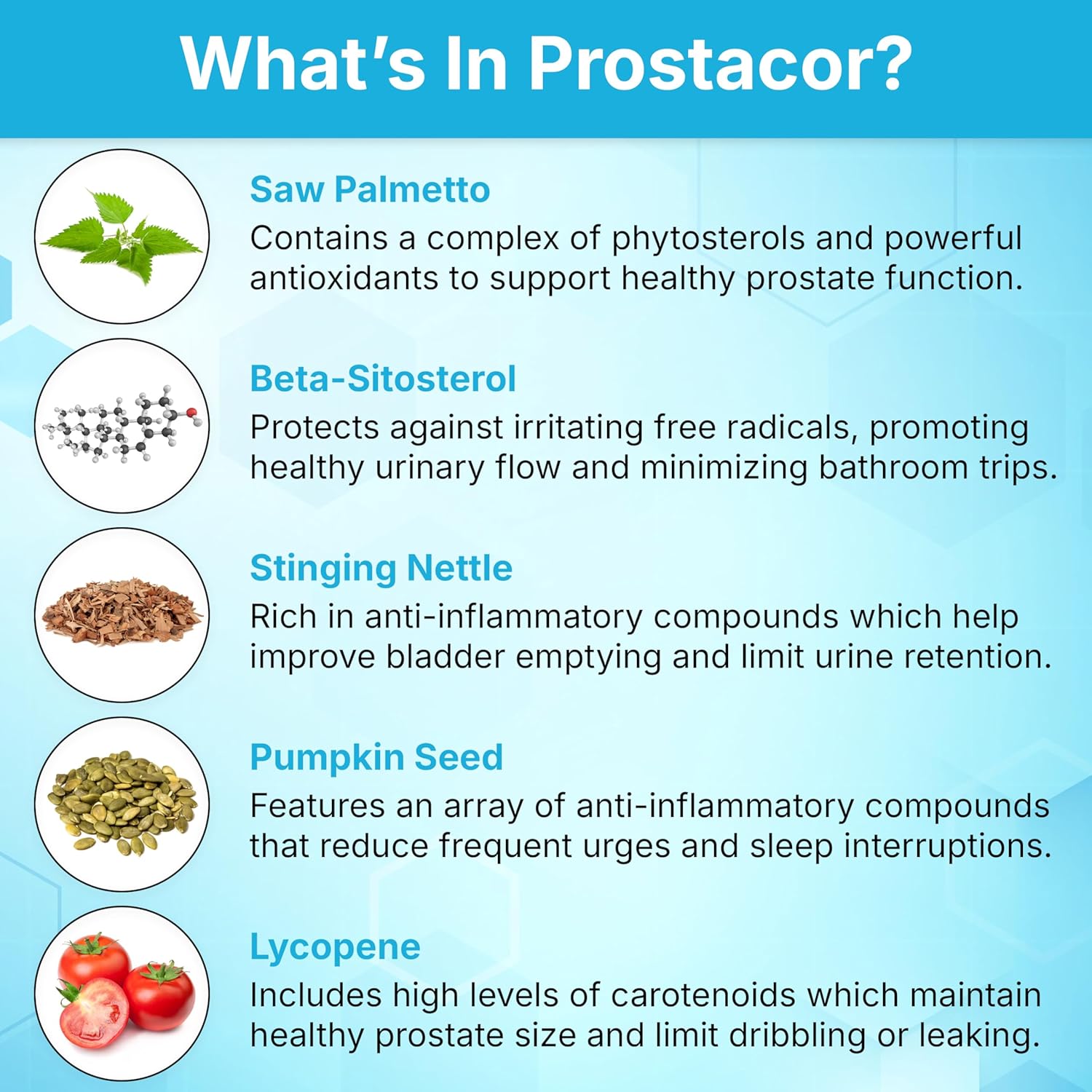 Prostacor - Natural Prostate Support Supplement - Non-GMO, Vegan, Gluten-Free - Image 5