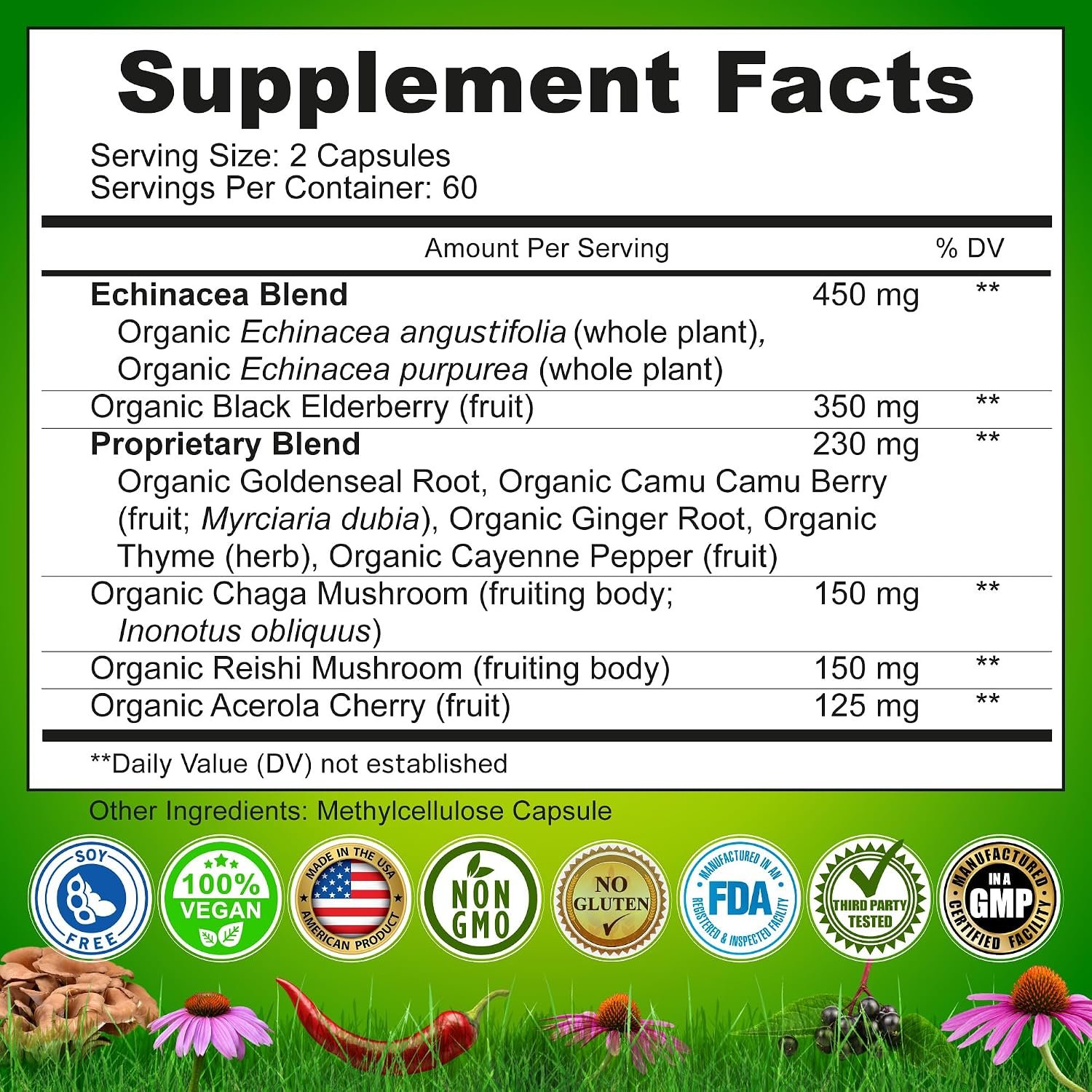 Echinacea Goldenseal Capsules - 10 in 1 Immune Support Supplement - 1455mg - Vegan Echinacea Capsules Supplement Made With Organic Whole Foods - Herbal Immune System Support - 2 Month Supply - Image 6