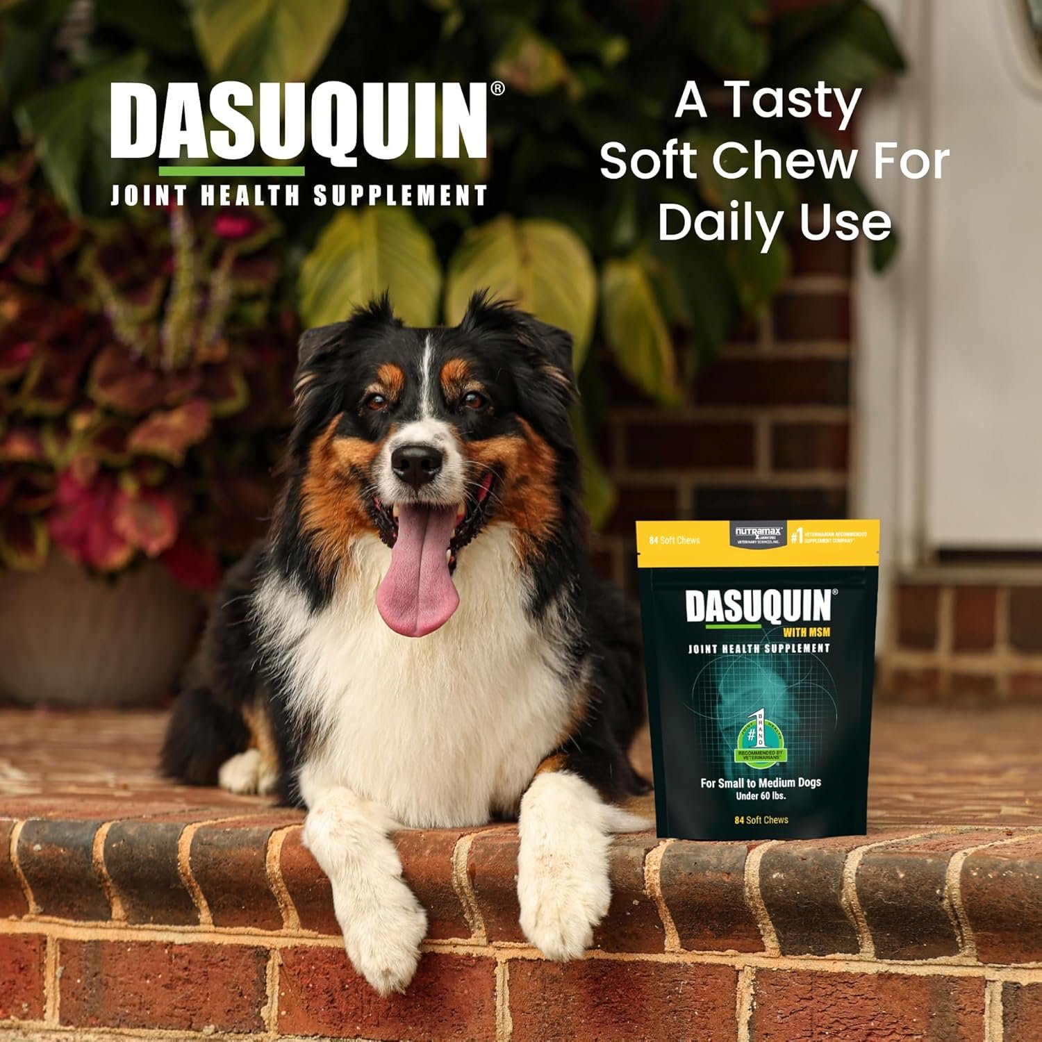 Nutramax Dasuquin for Small to Medium Dogs, Joint Health Supplement, Contains Glucosamine for Dogs, Plus Chondroitin, ASU, MSM and More, Supports Healthy Joints, Soft Chews, 84 Count - Image 4