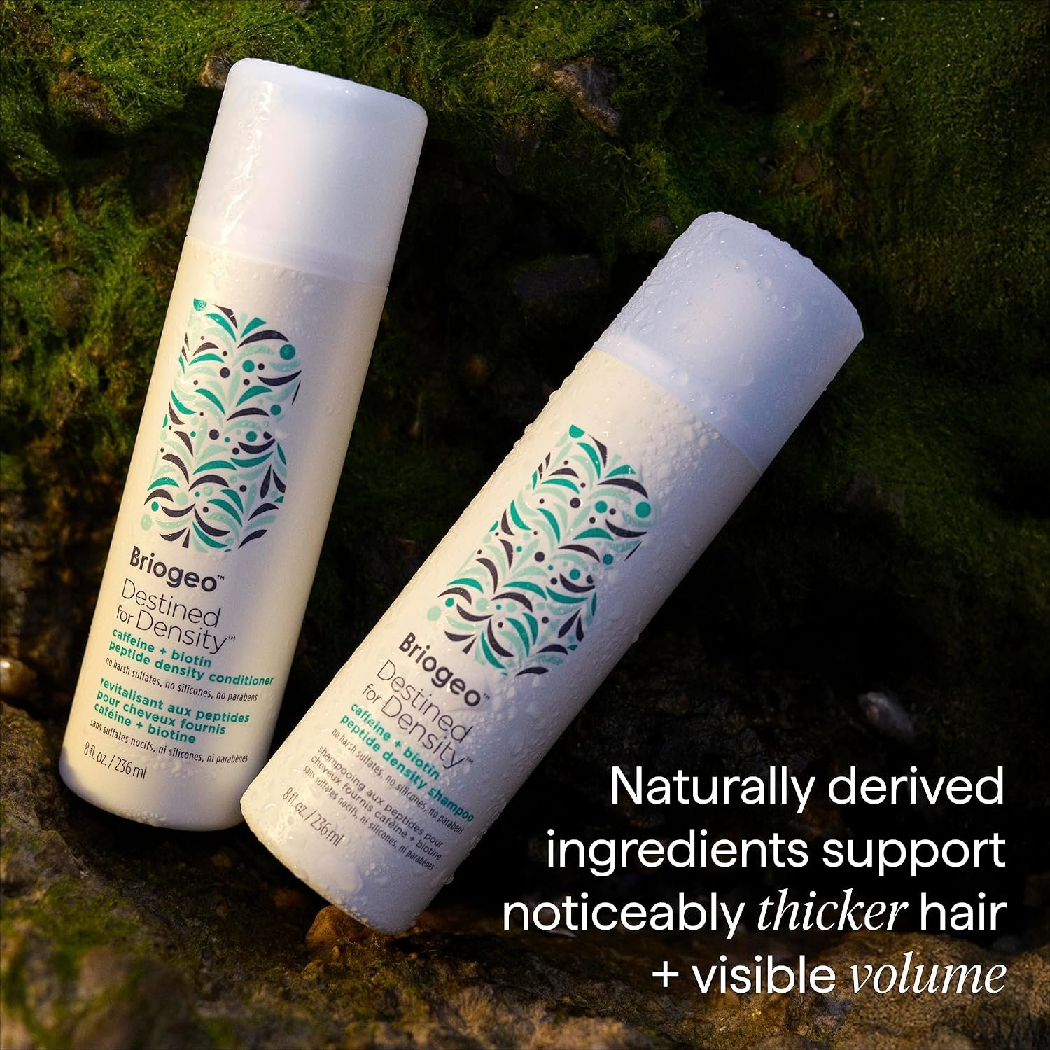 Briogeo Destined for Density Caffeine + Biotin Peptide Density Shampoo | Increases Hair Thickness and Volume for Fine or Thinning Hair | Sulfate-Free | Vegan & Cruelty-Free | 2 fl oz - Image 8
