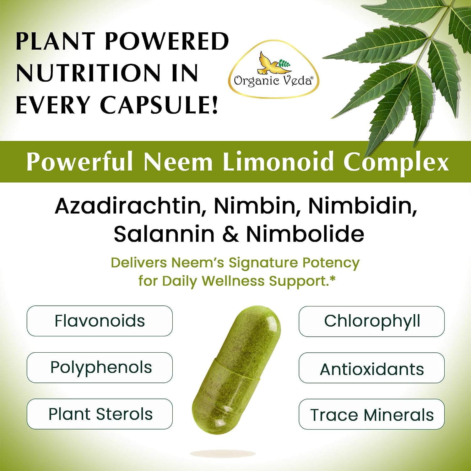 Organic Veda Neem Capsules – Herbal Supplement for Clear Skin, Immune & Gut Health For Men & Women - Single Origin True Green Neem Leaf Powder - Purifying & Cleansing Ayurveda Herb, 120 Vegan Capsules - Image 7